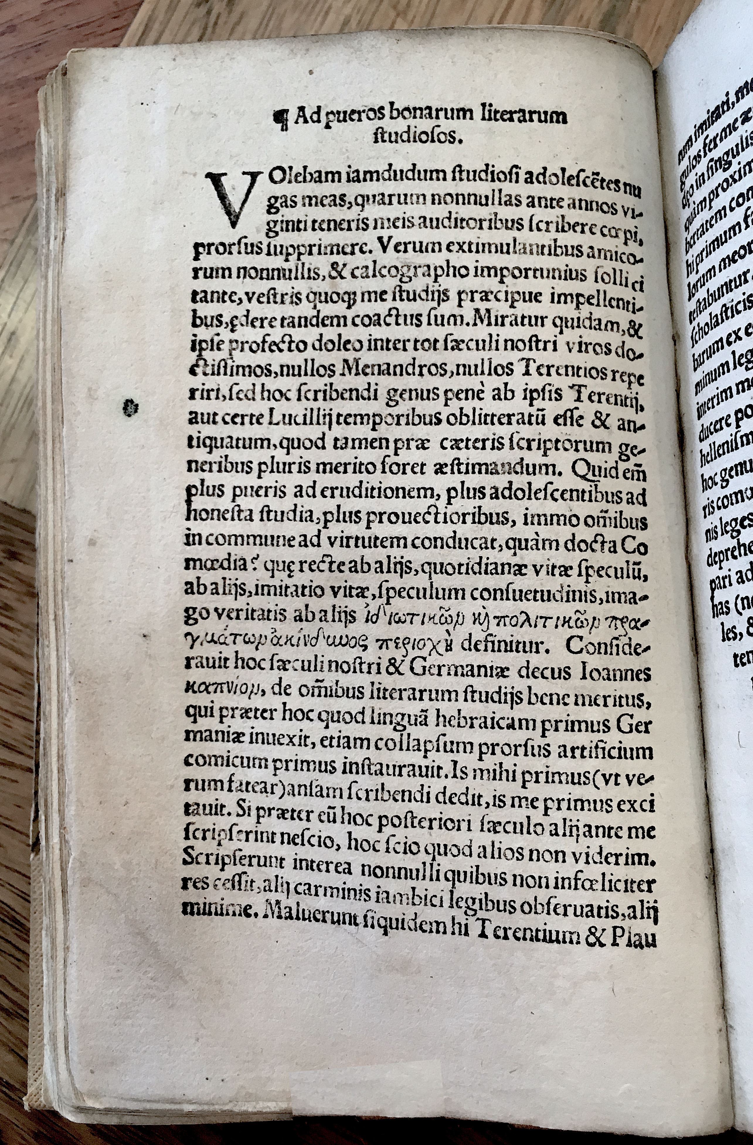 MacropediusRebelles1535p02