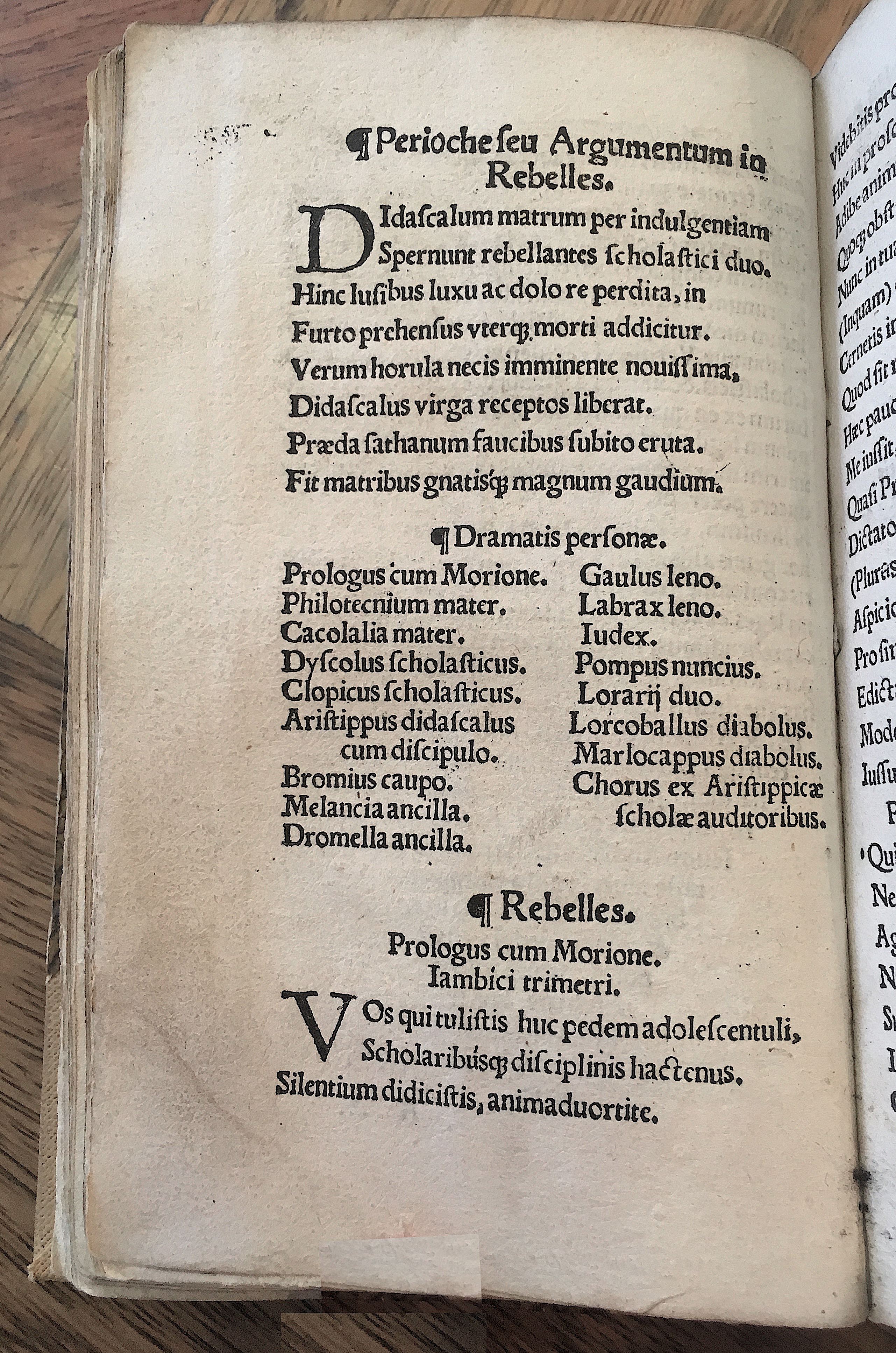 MacropediusRebelles1535p04