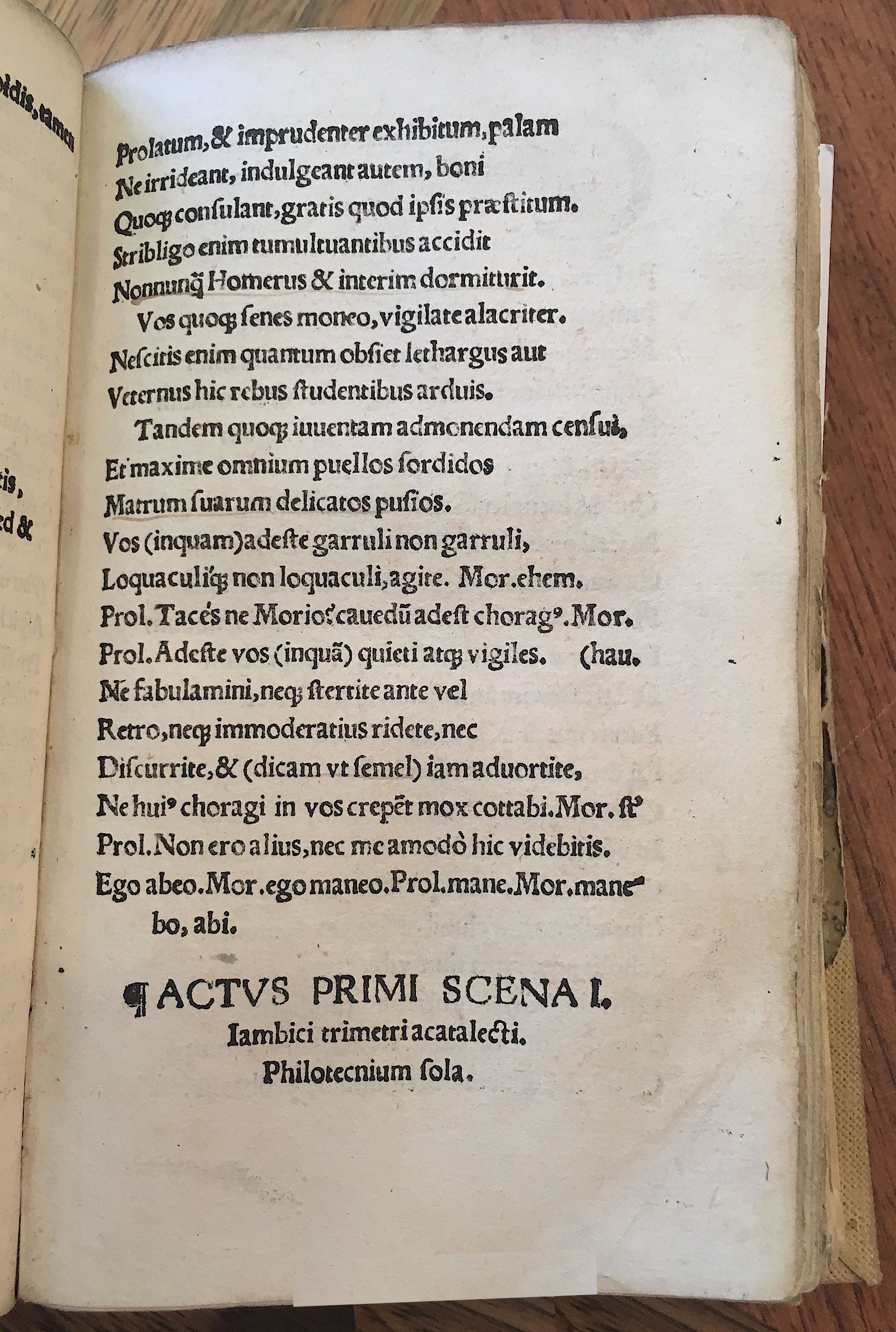 MacropediusRebelles1535p07
