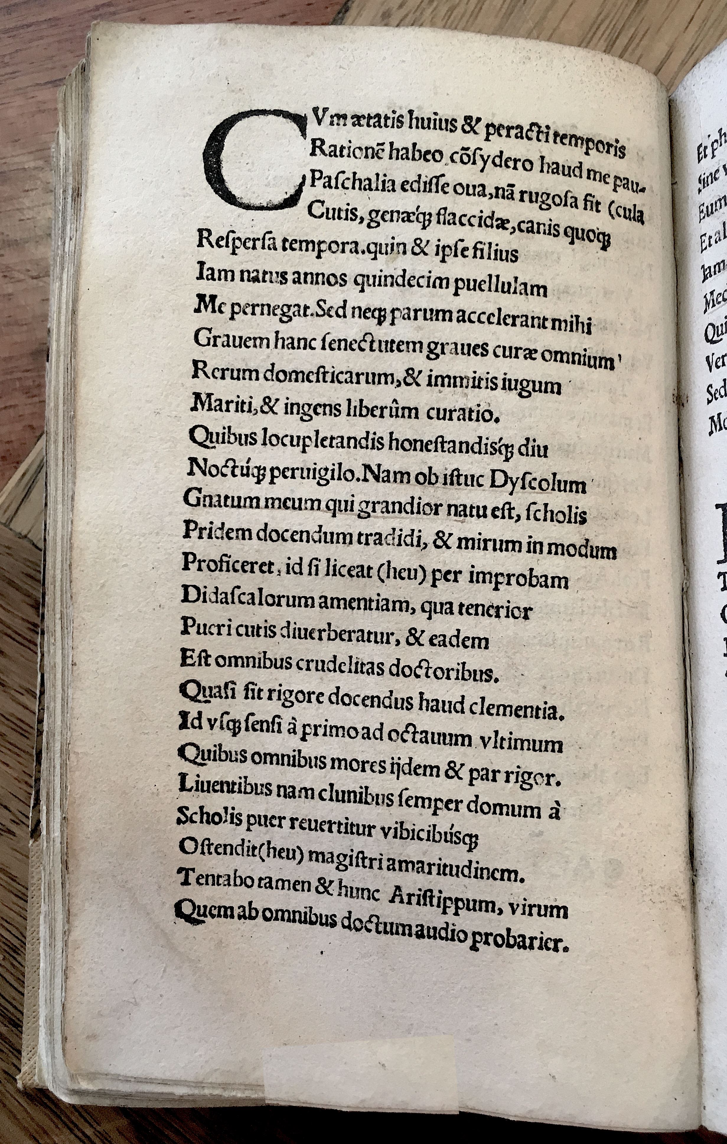 MacropediusRebelles1535p08