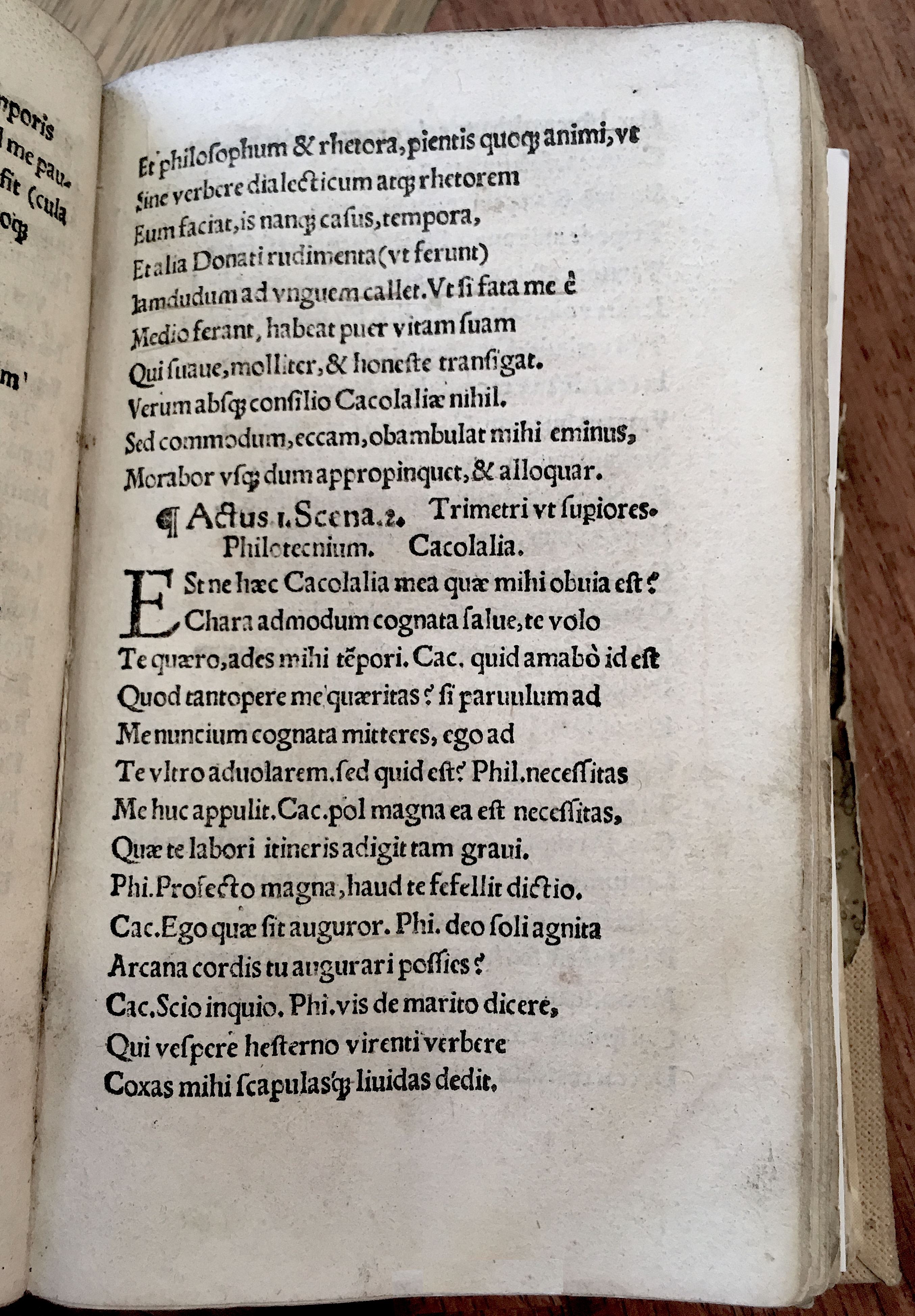MacropediusRebelles1535p09