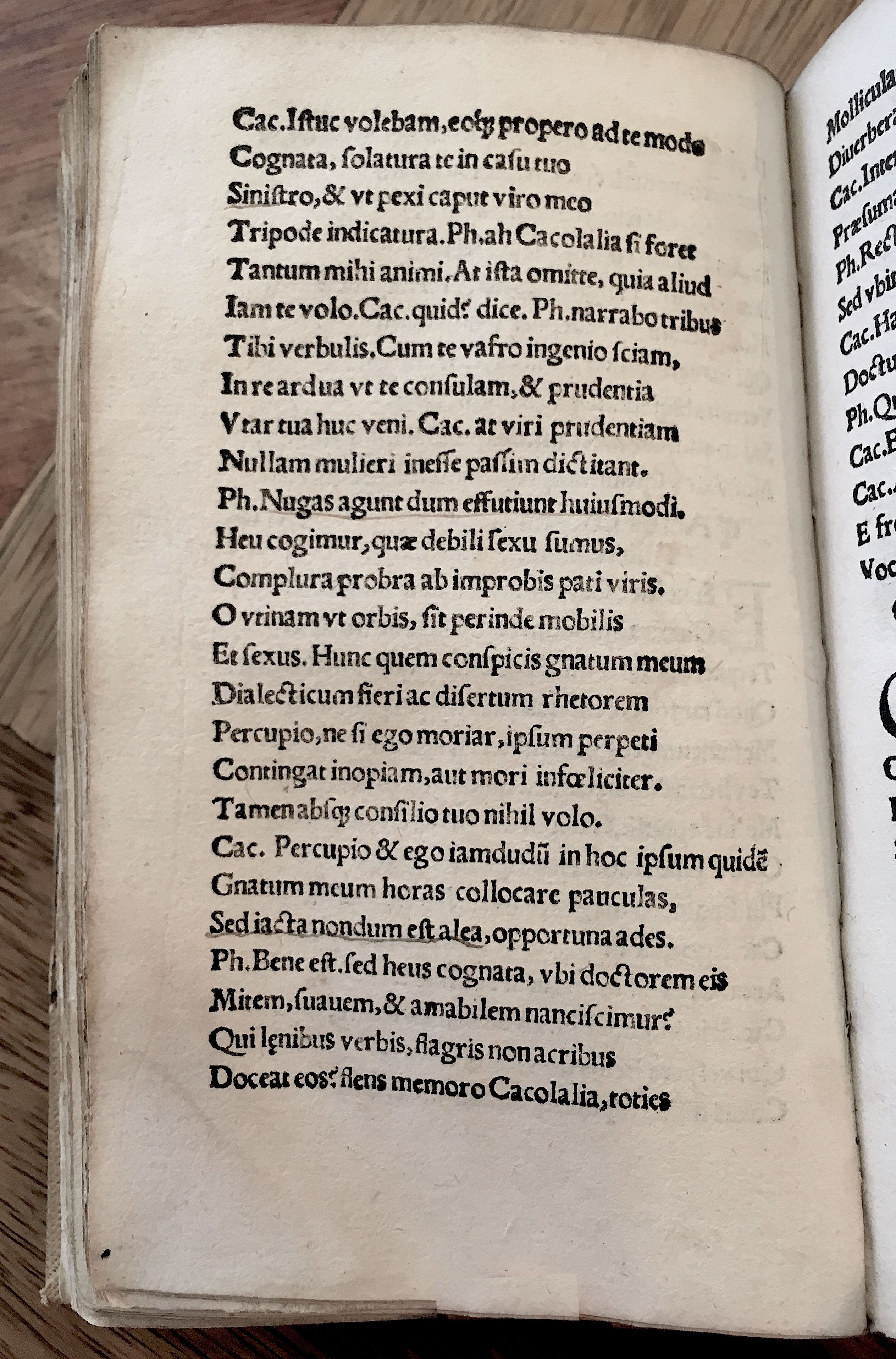 MacropediusRebelles1535p10