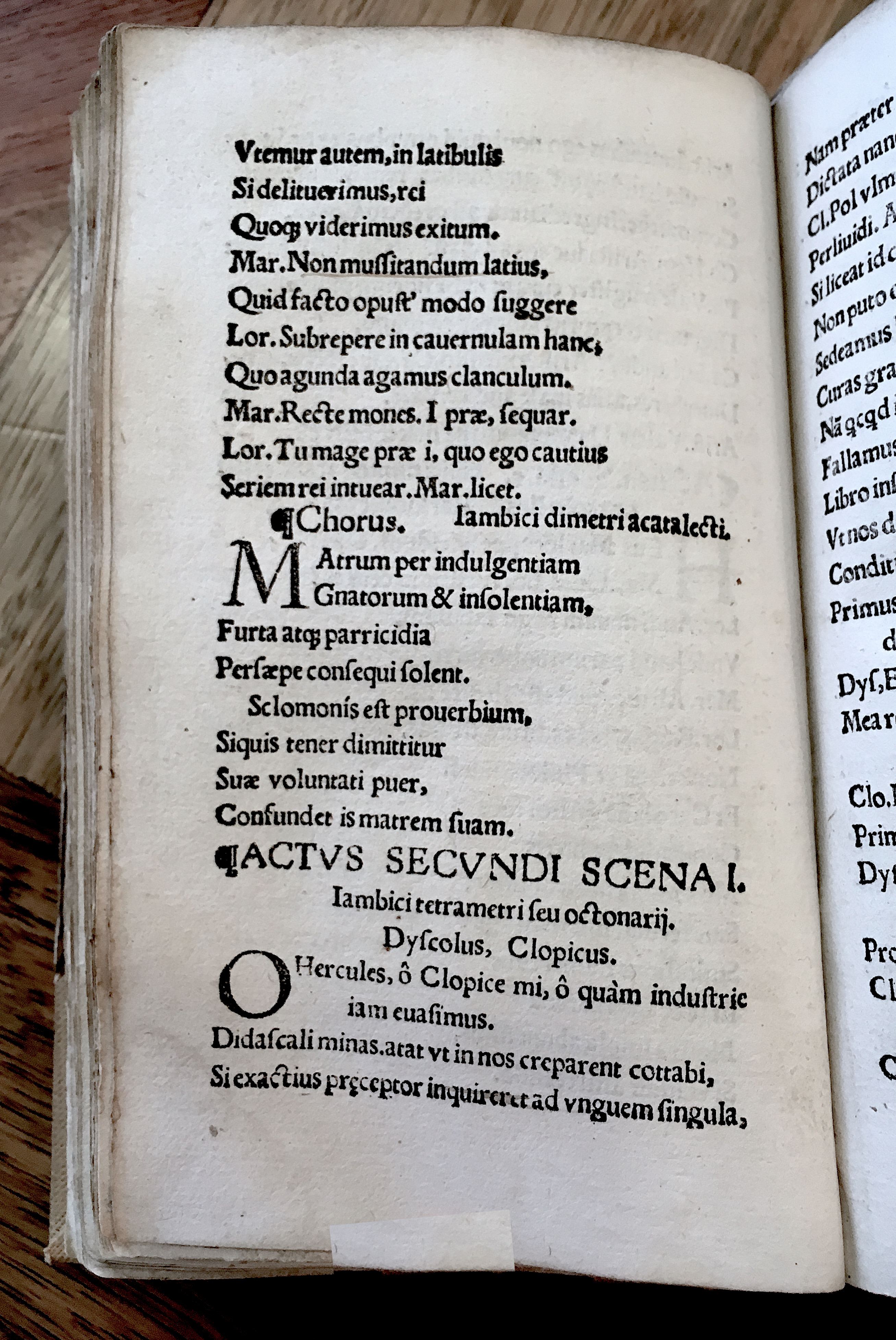 MacropediusRebelles1535p14