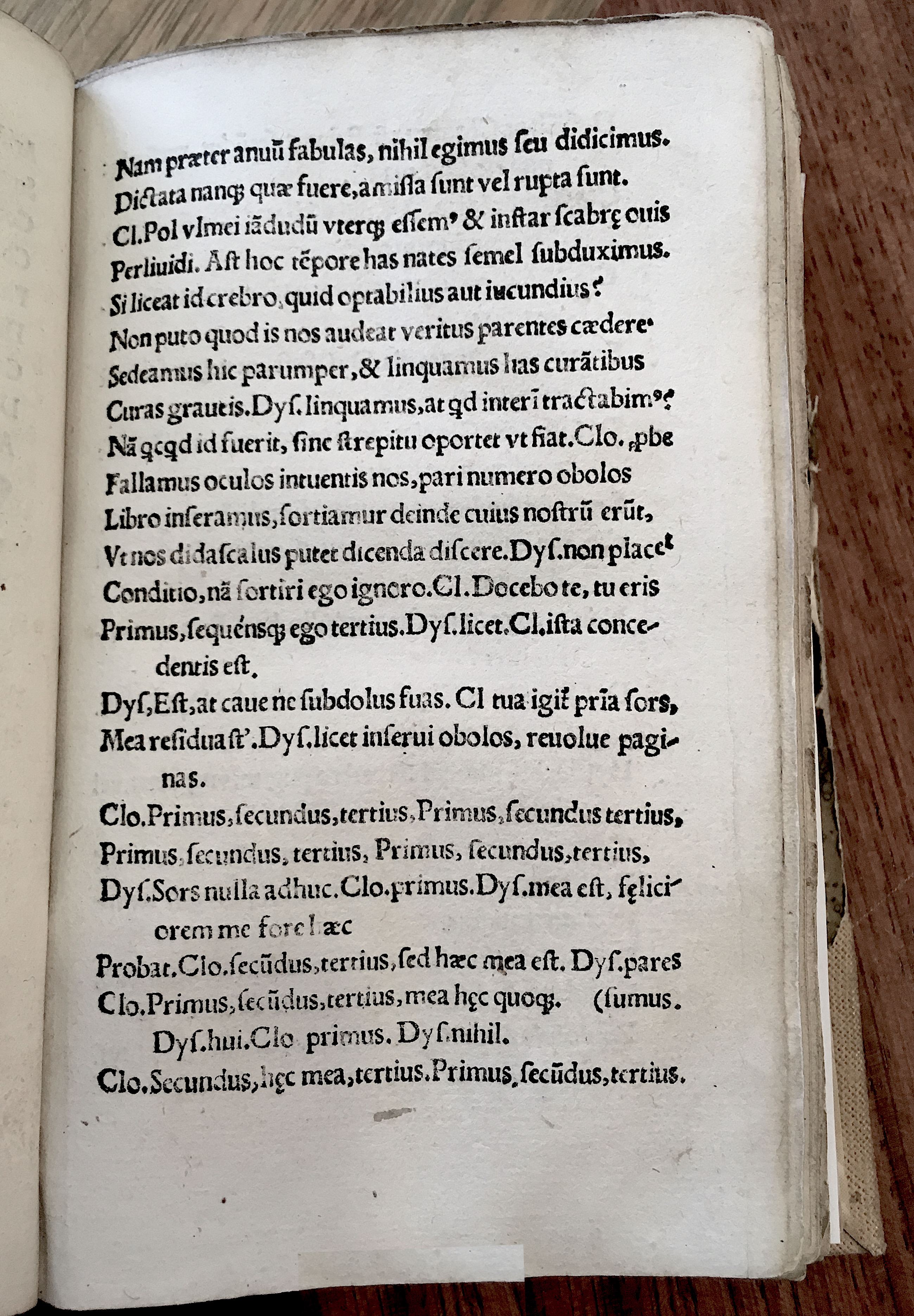 MacropediusRebelles1535p15