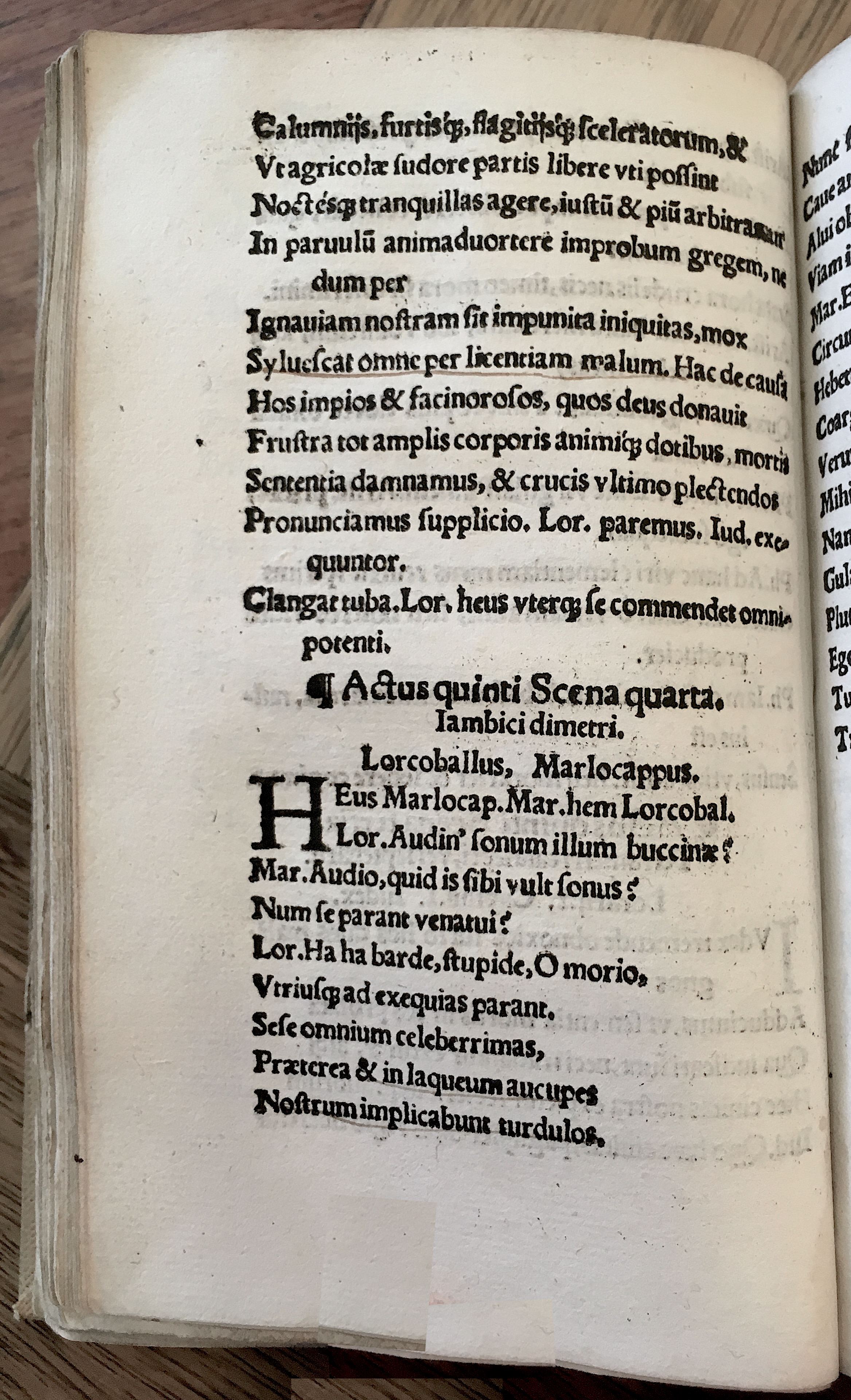 MacropediusRebelles1535p42