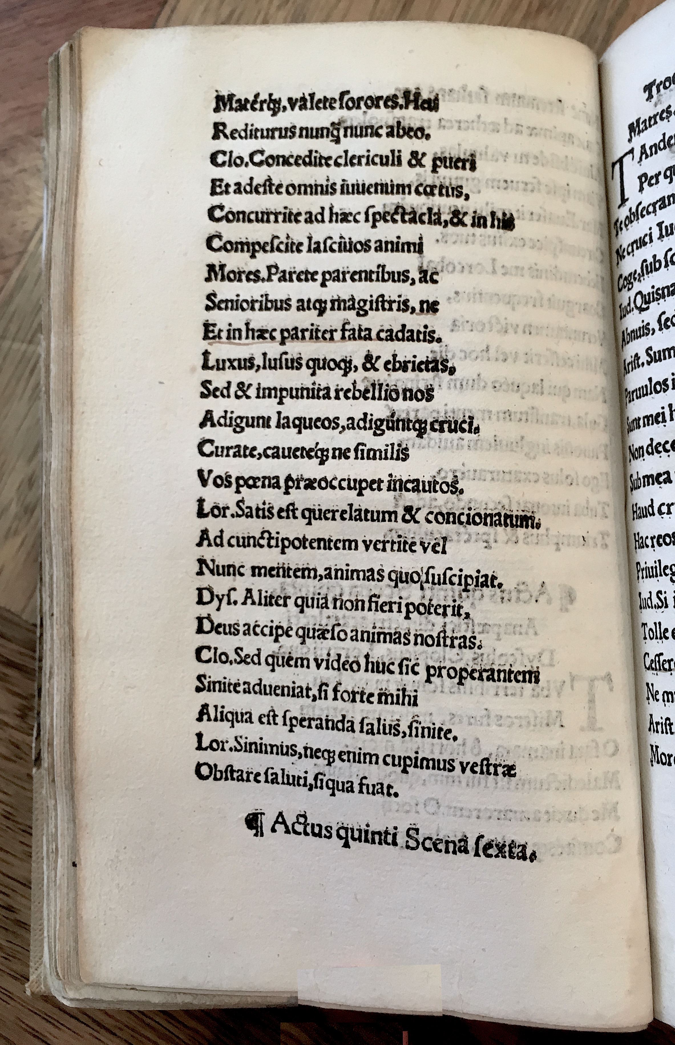 MacropediusRebelles1535p44