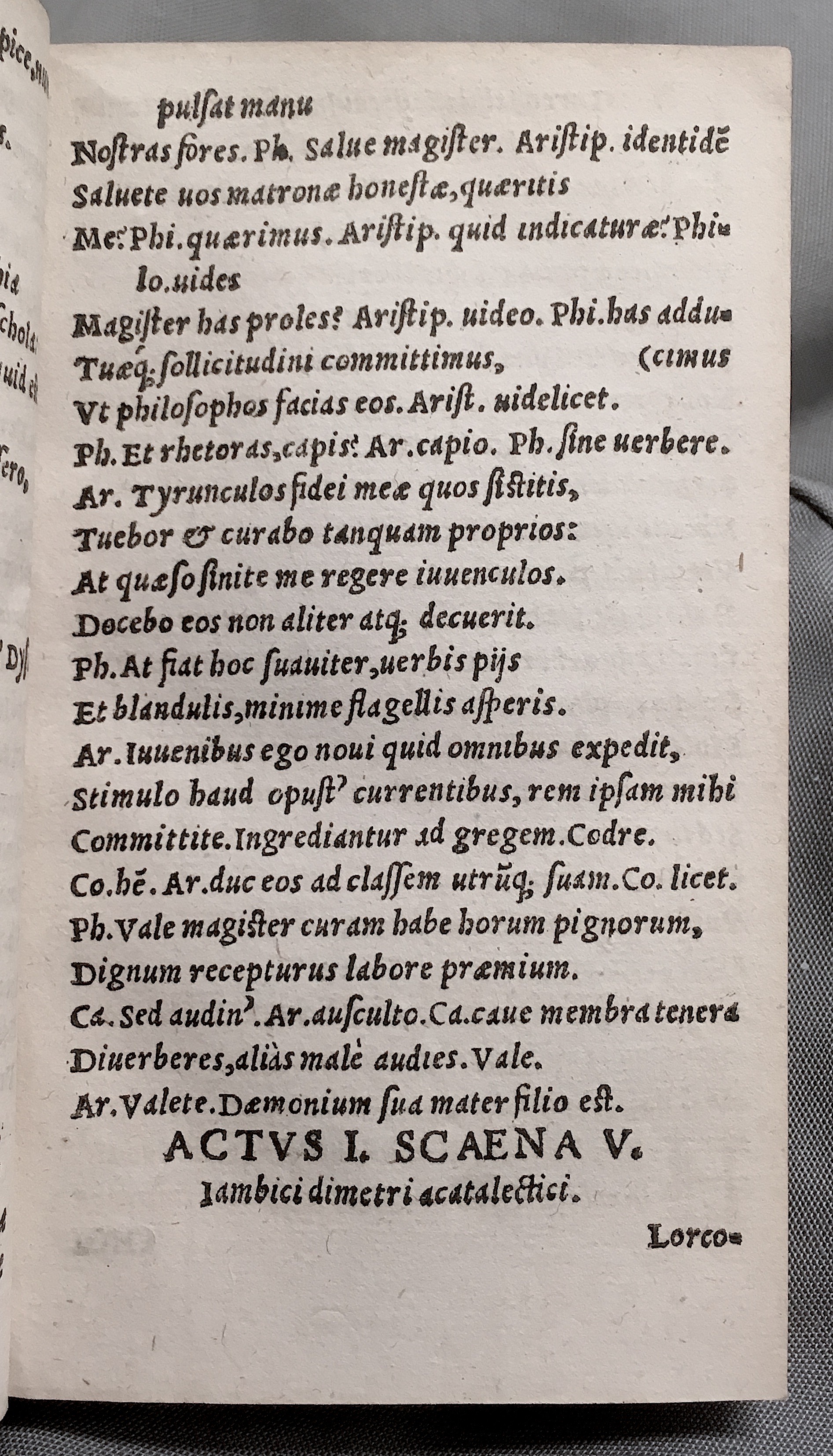 MacropediusRebelles1553p11.jpg