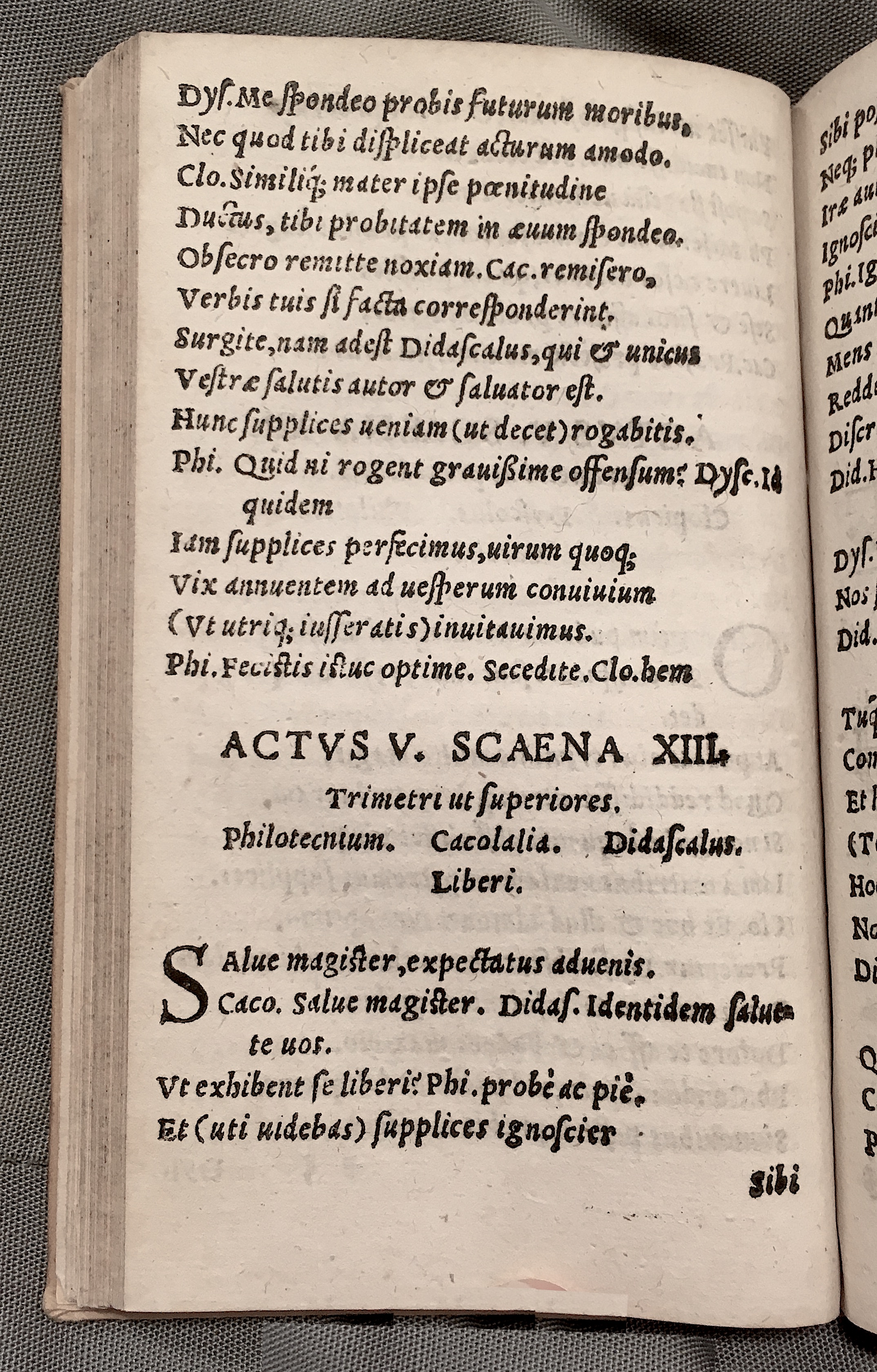 MacropediusRebelles1553p56.jpg