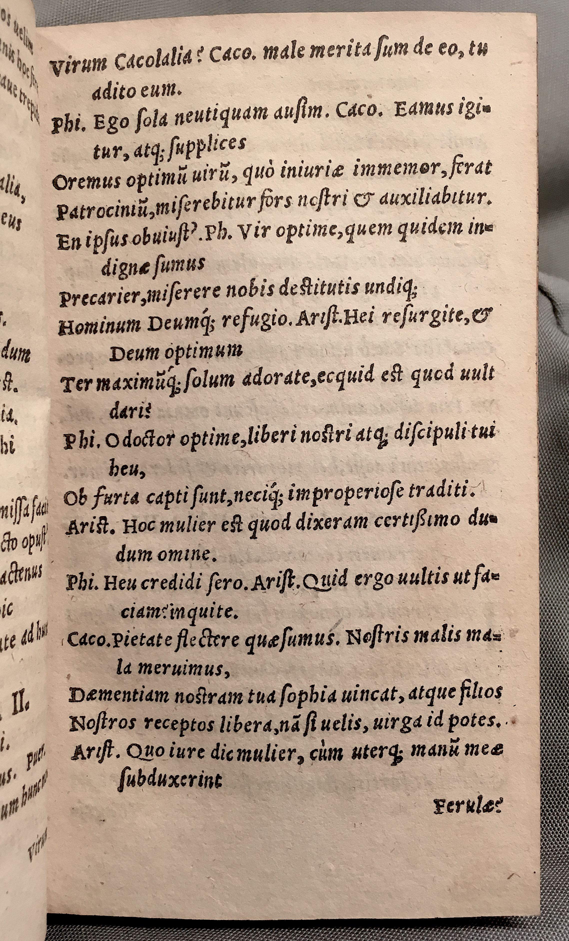 MacropediusRebelles1553p43