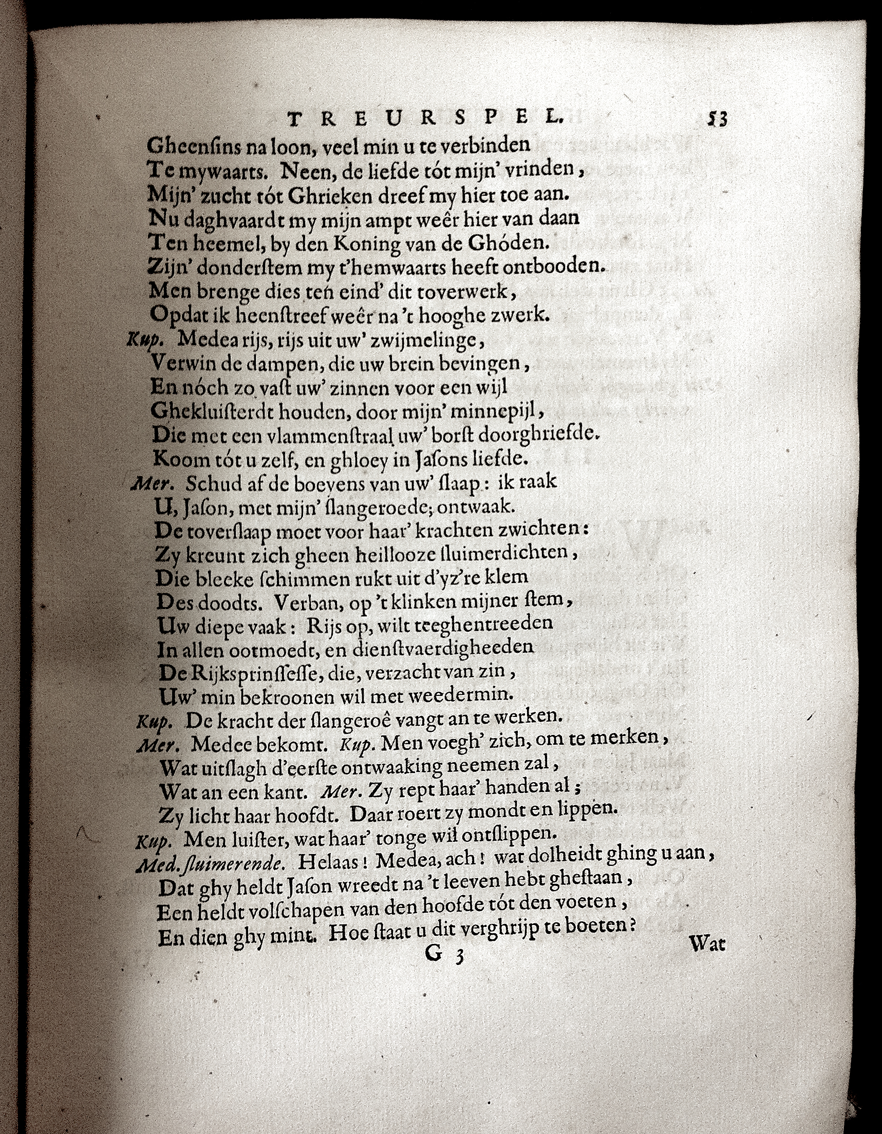 MeijerGhuldeVlies1667p53