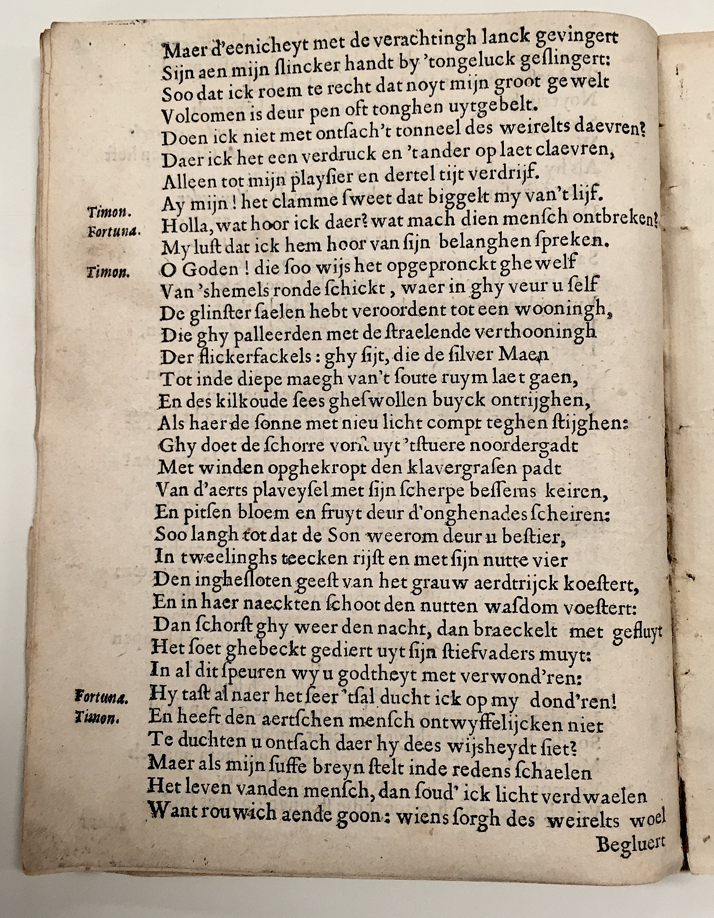 MeulewelsTimon1636p12.jpg