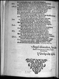 muyrketelboeter24