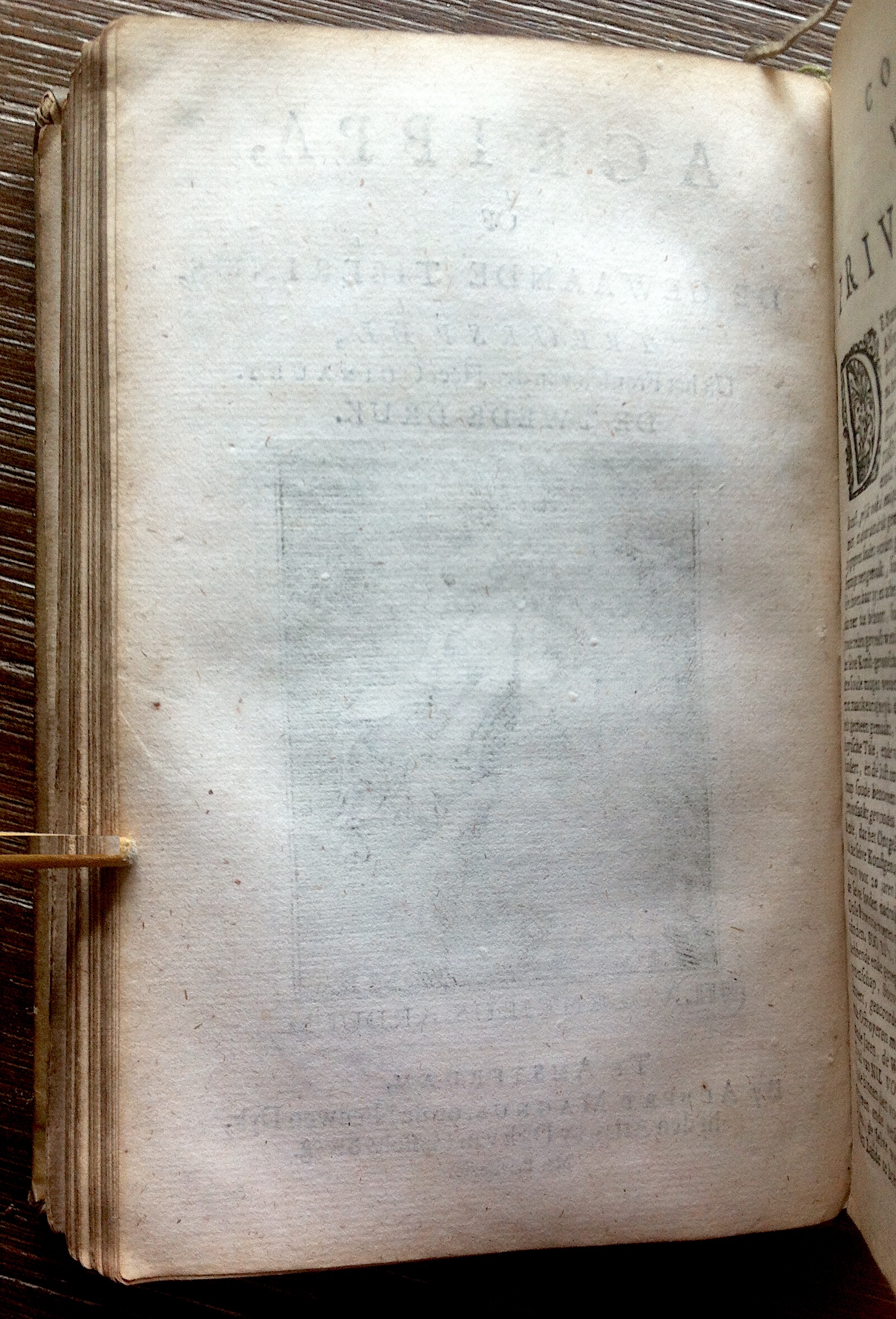 NVAAgrippa1675ca02