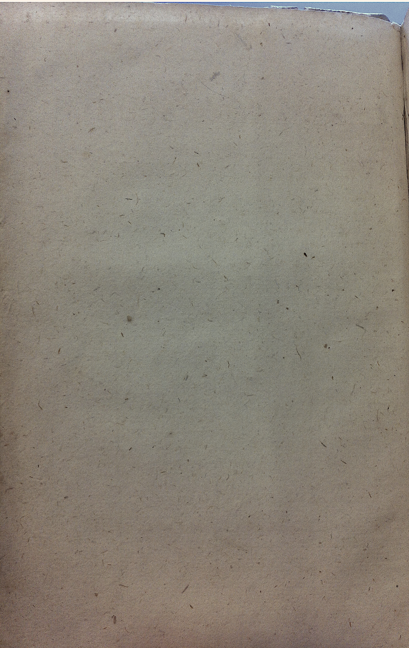 NVAGeschaakteBruid169002