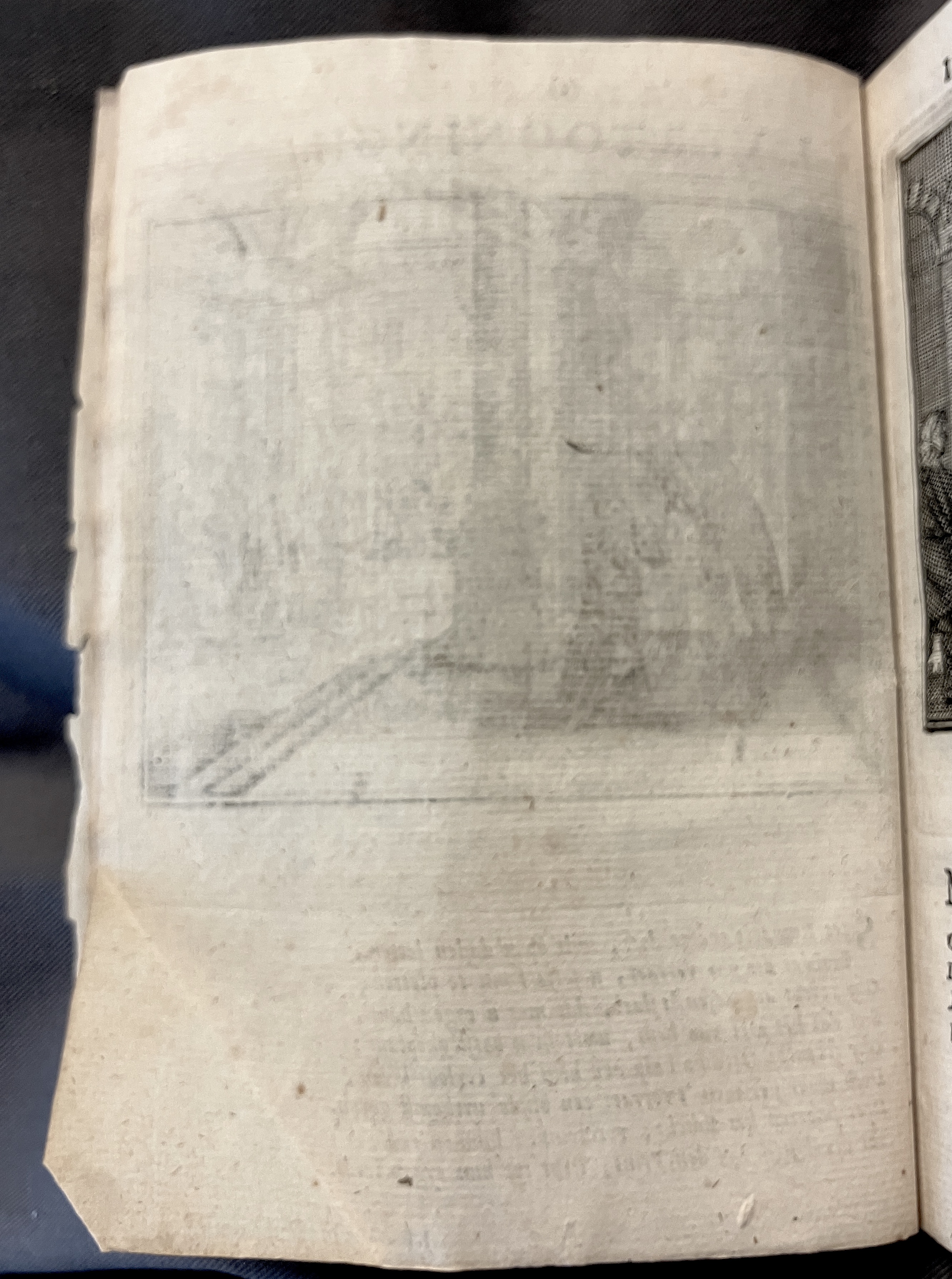 NVM_BloedigenHaeg1672p04