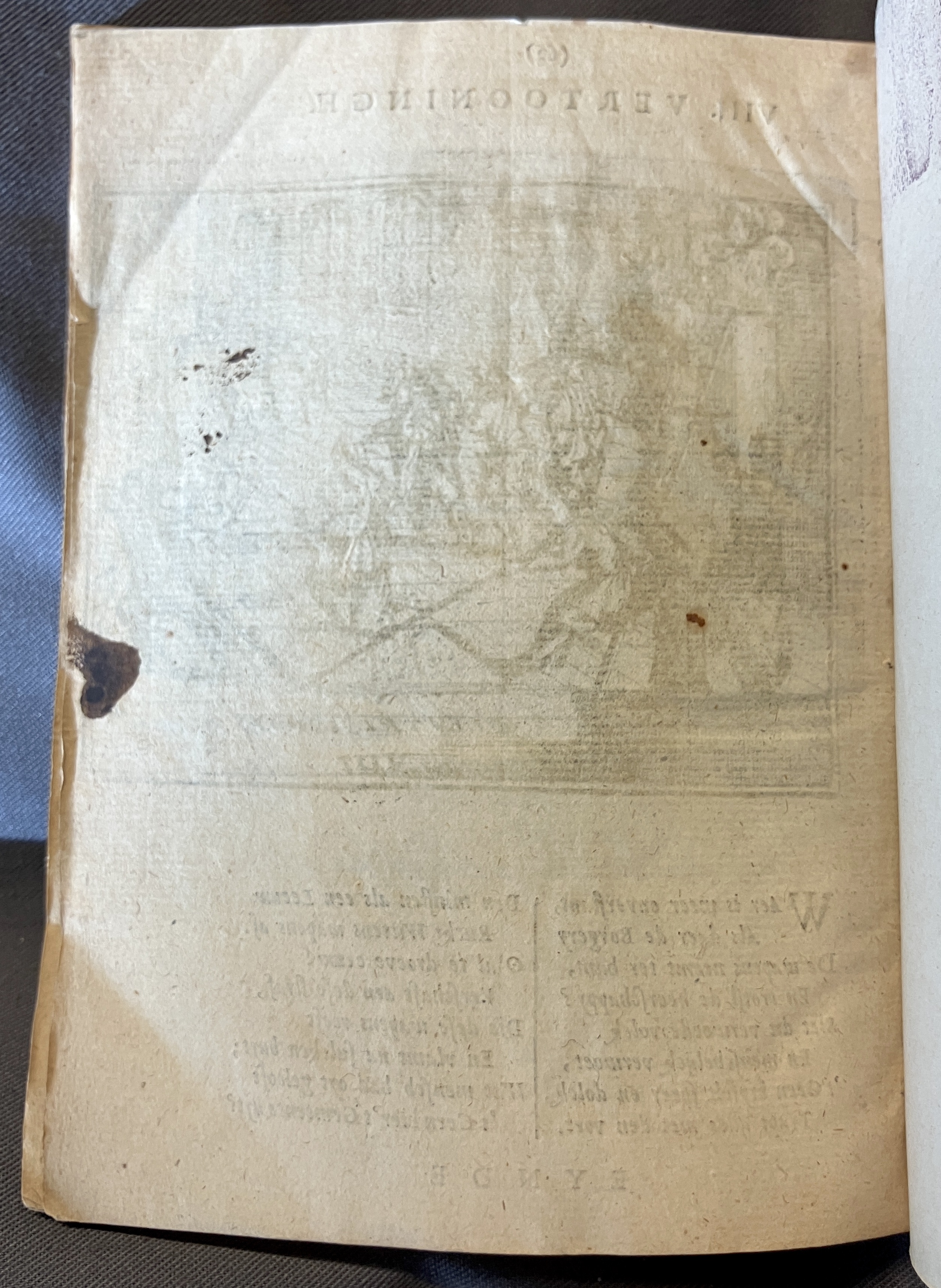 NVM_BloedigenHaeg1672p64