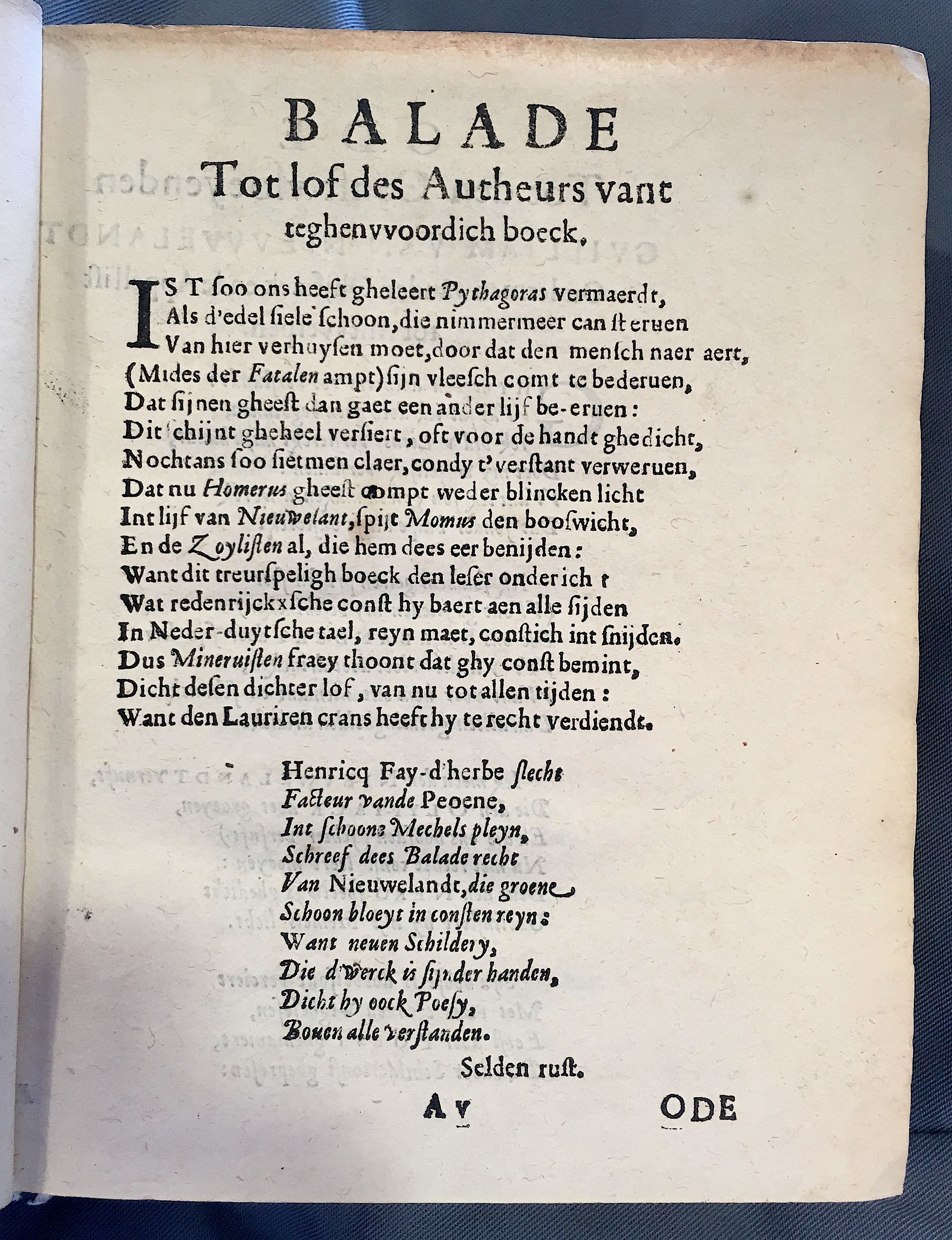 NieuwelandtNero1618a05