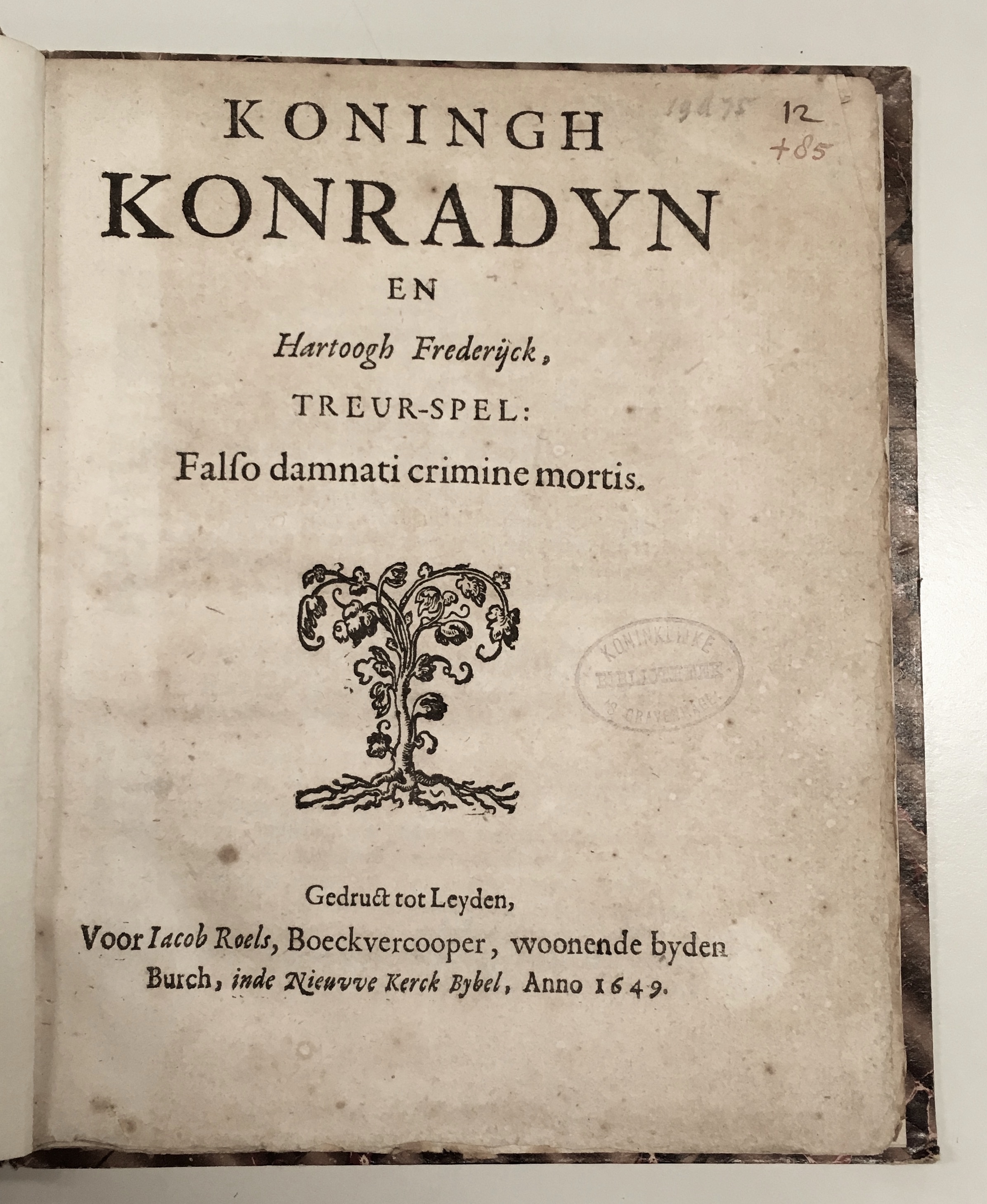 OudaanKonradyn1649a01
