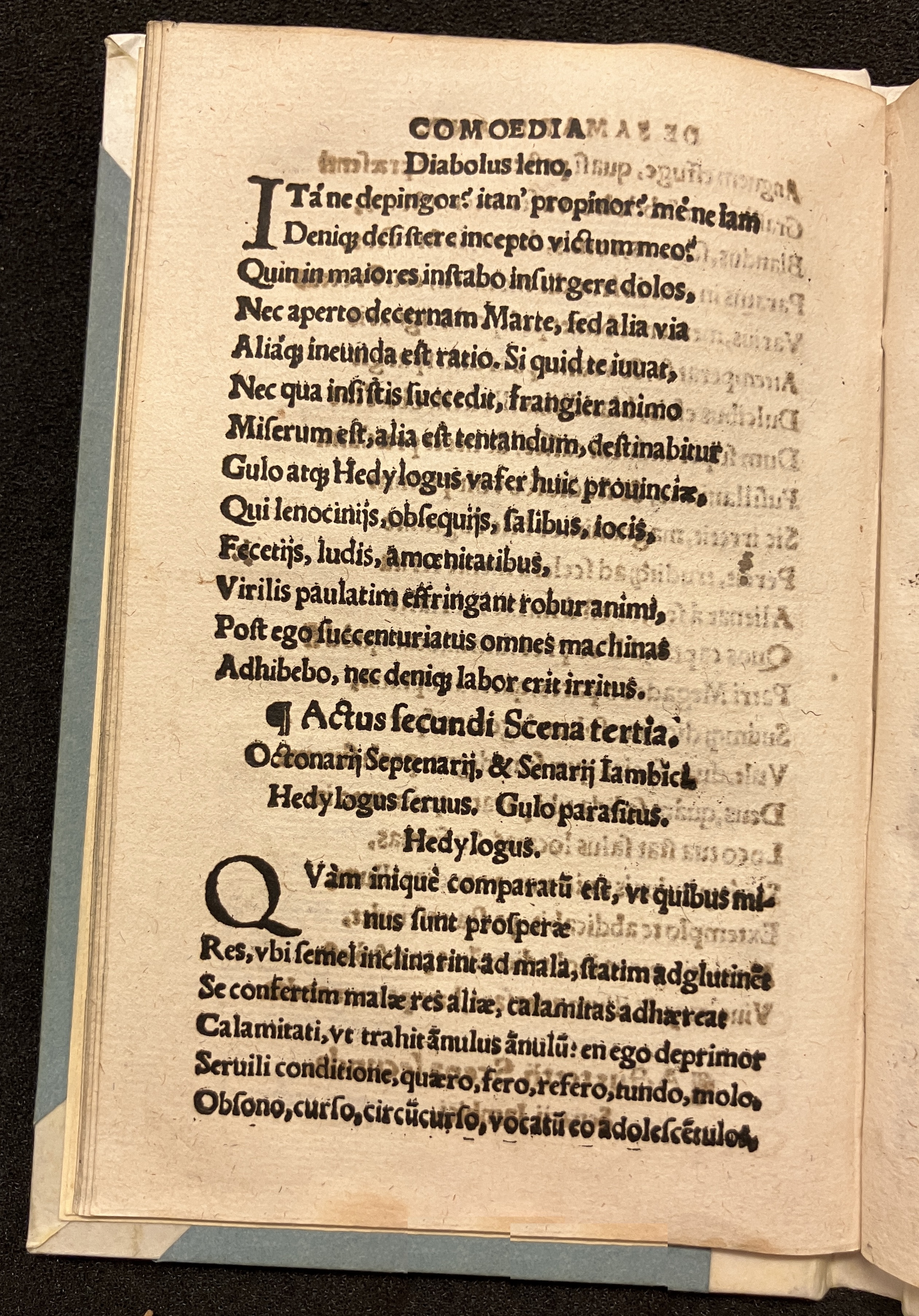 PapeusSamarites1539p12