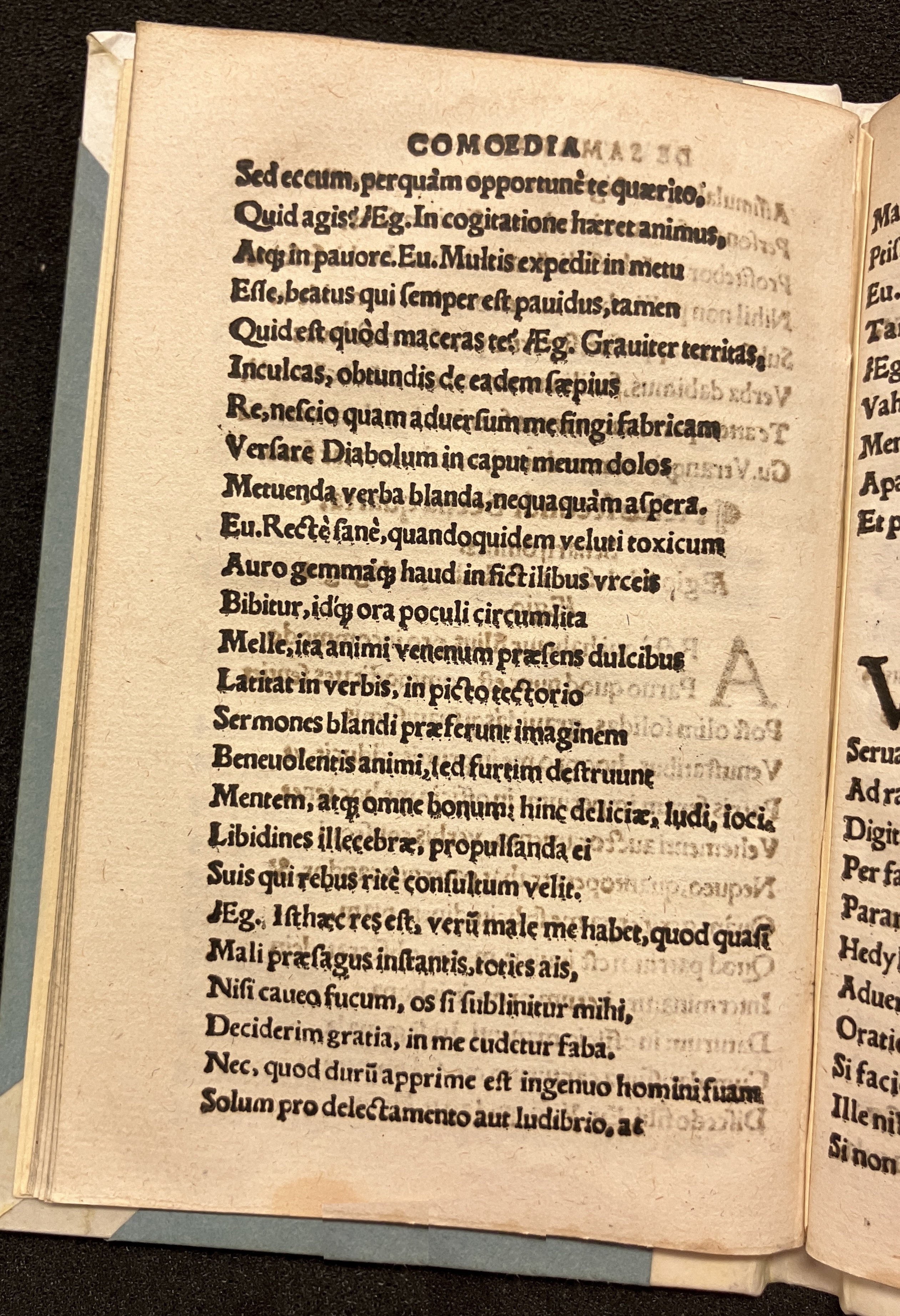PapeusSamarites1539p16