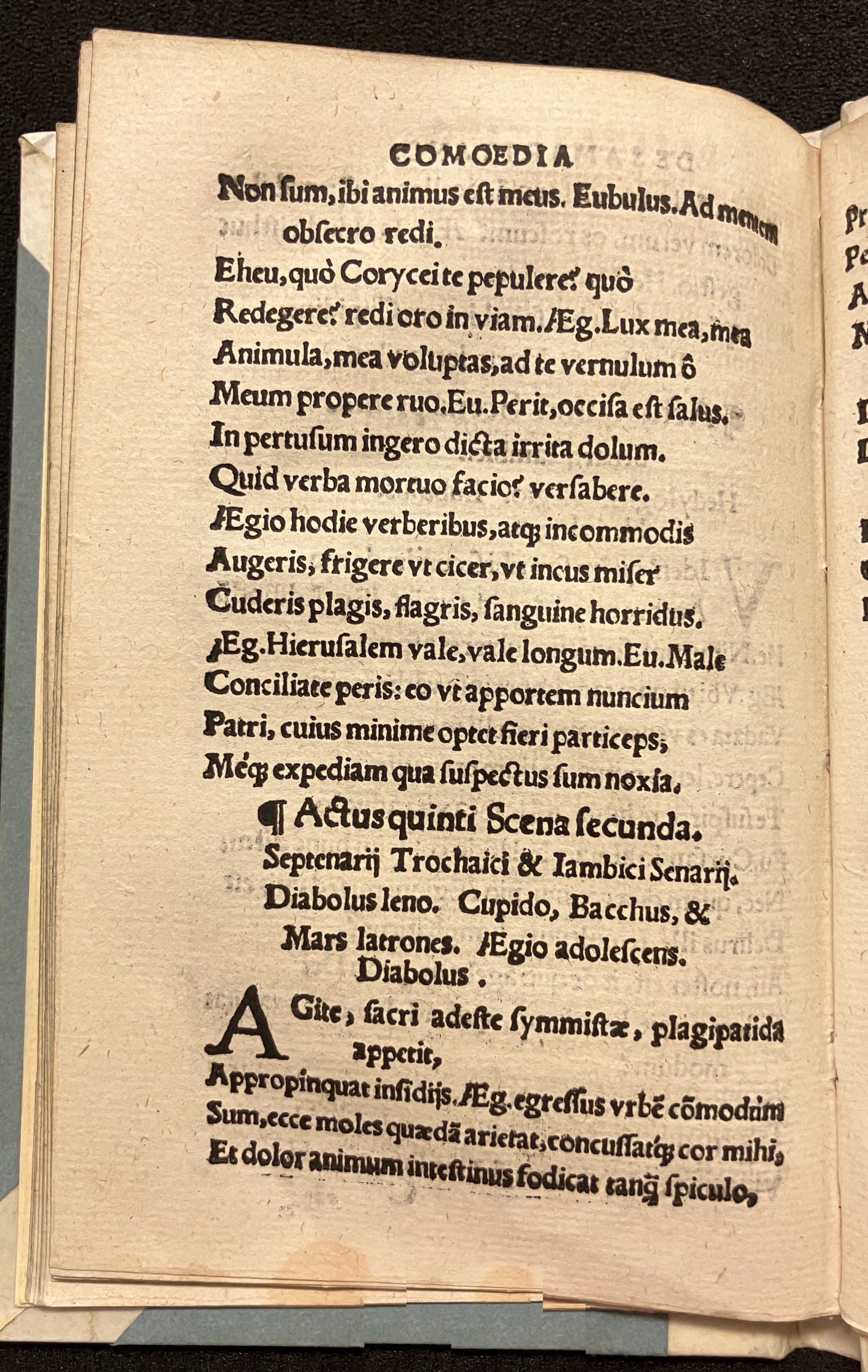 PapeusSamarites1539p38