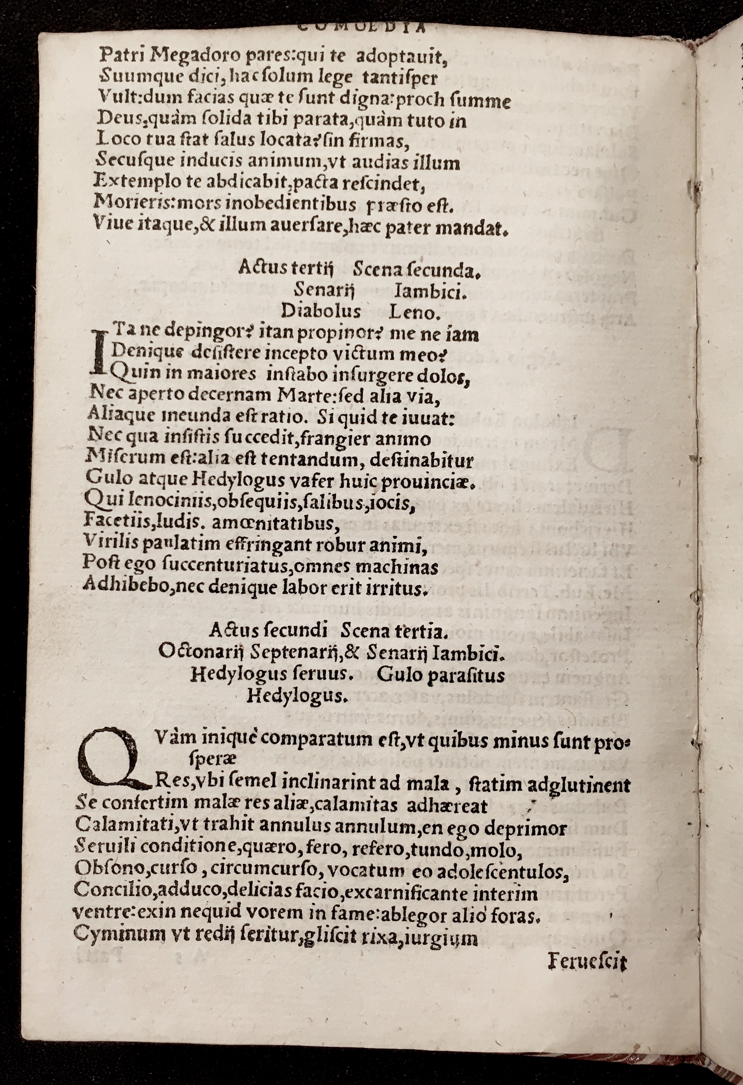 PapeusSamarites1539p10