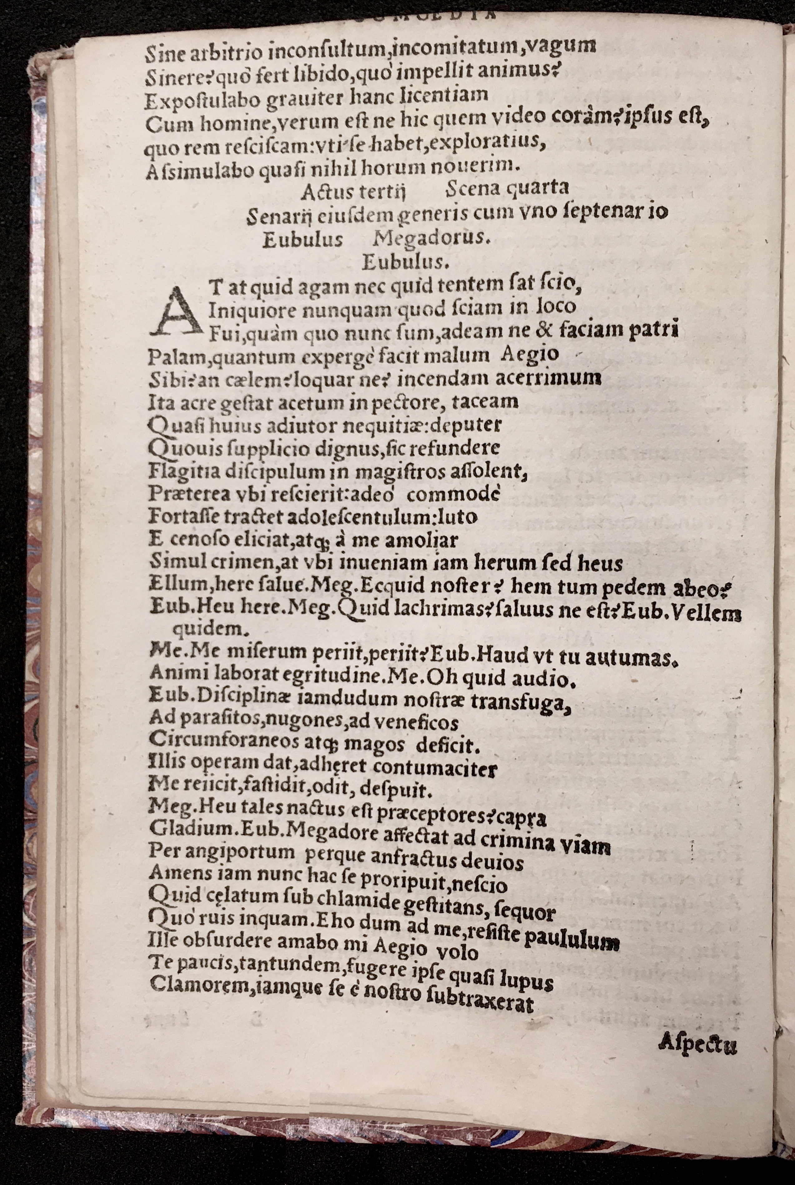 PapeusSamarites1539p18