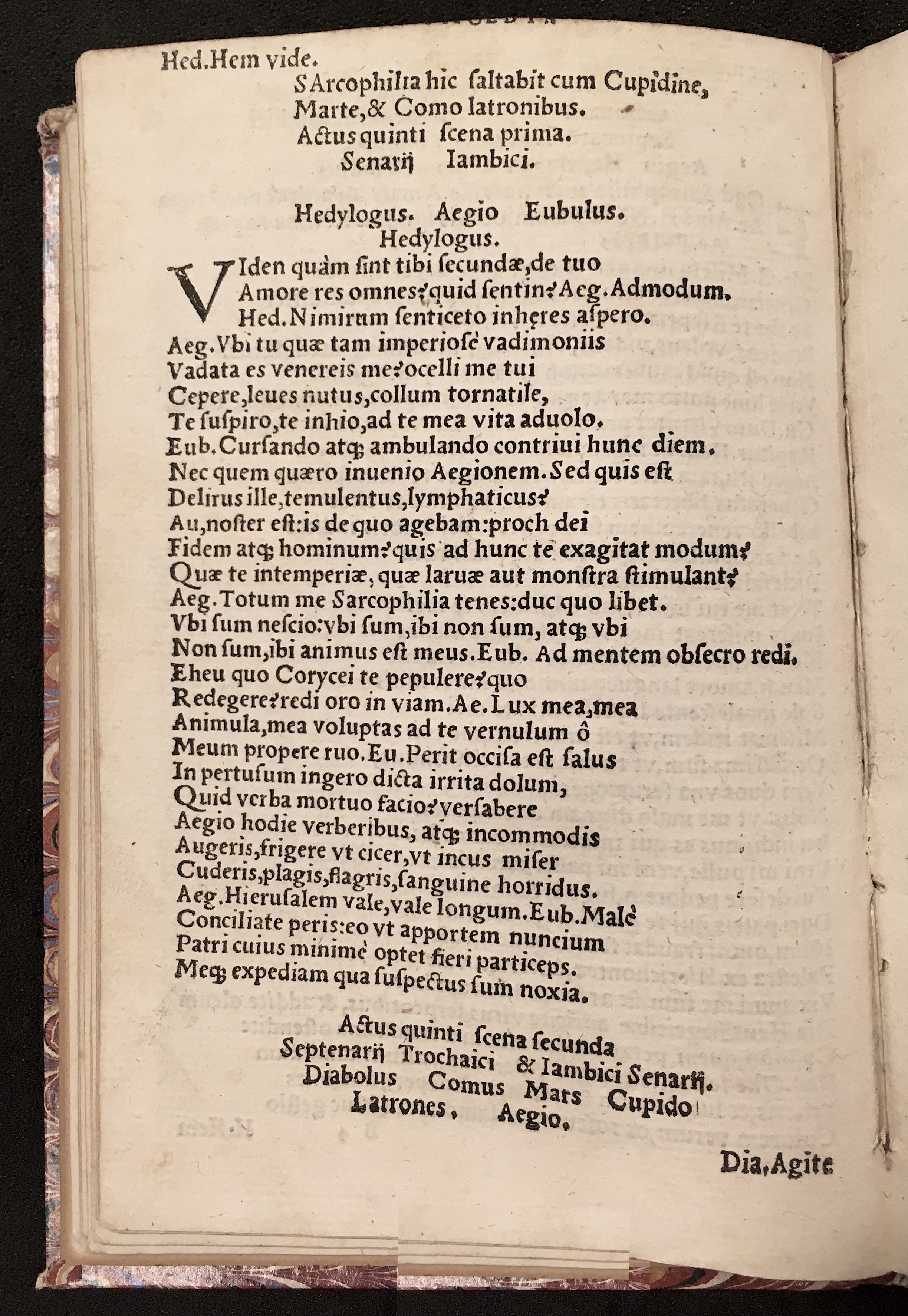 PapeusSamarites1539p24