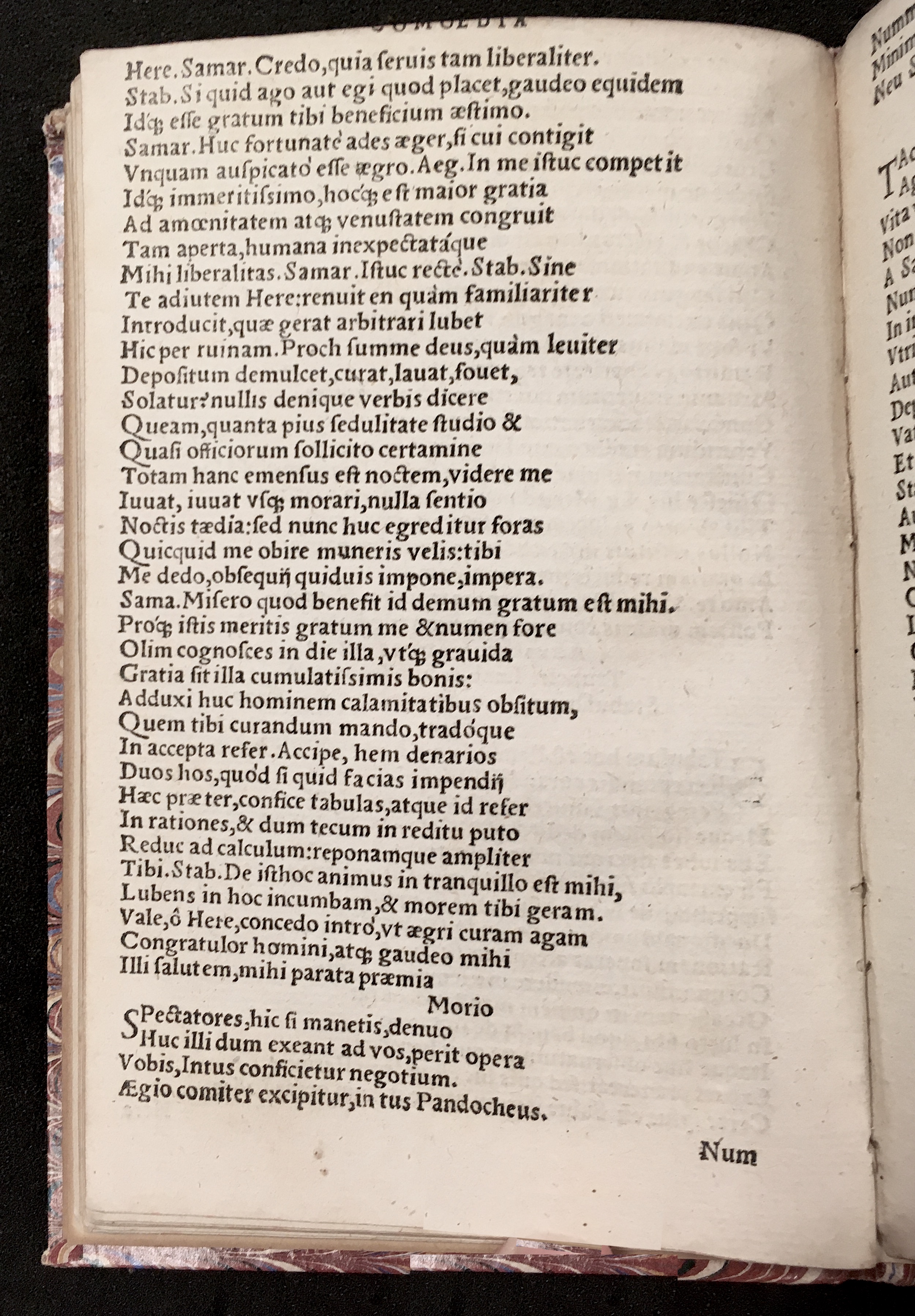 PapeusSamarites1539p28