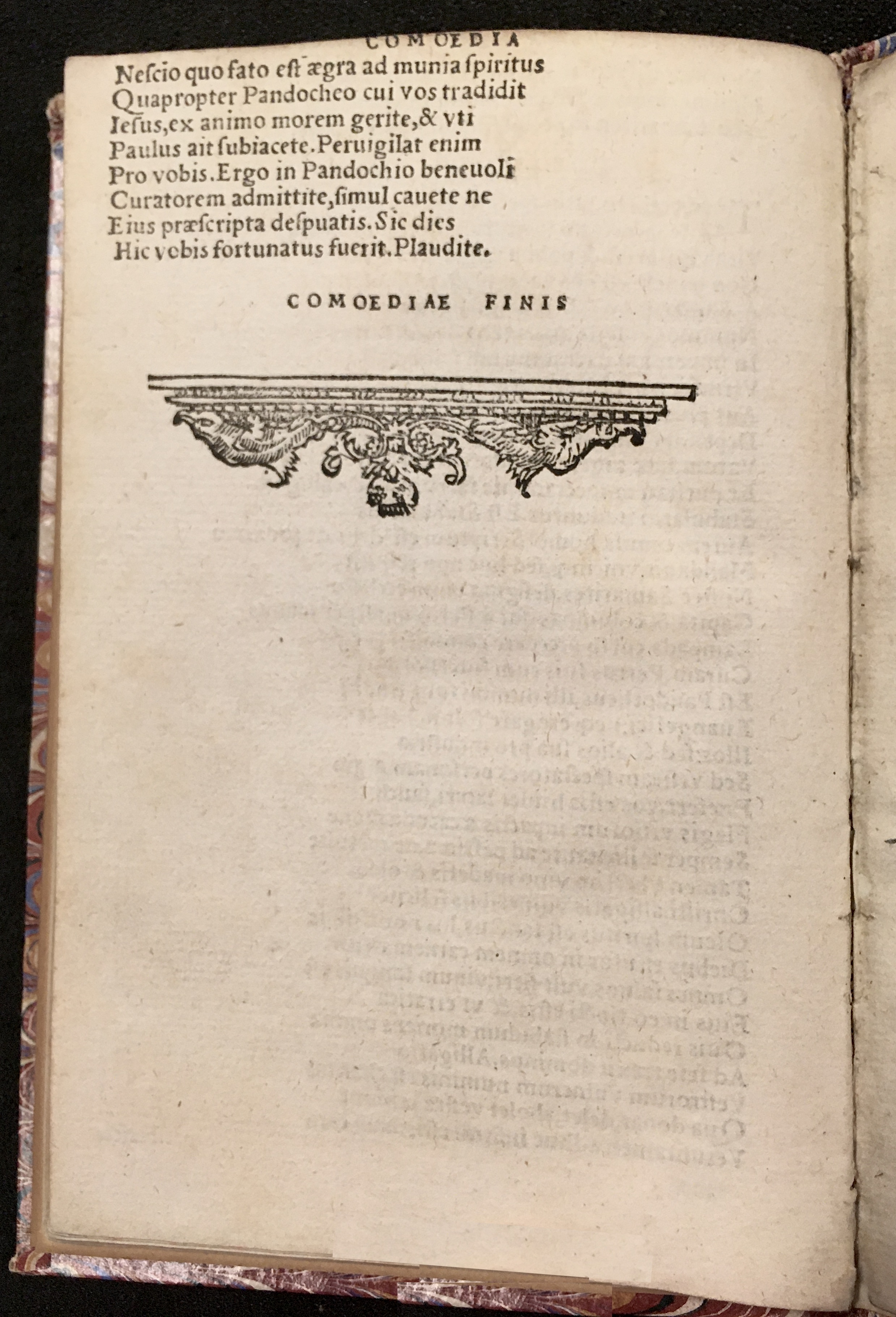 PapeusSamarites1539p30