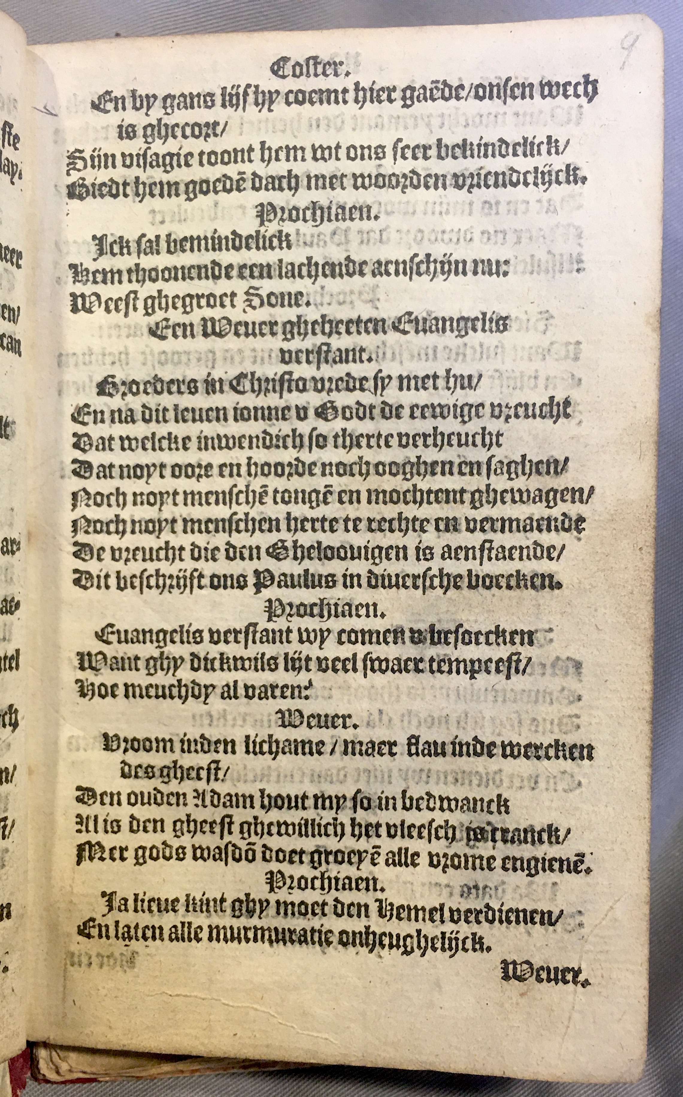 Prochiaen1578p011.jpg