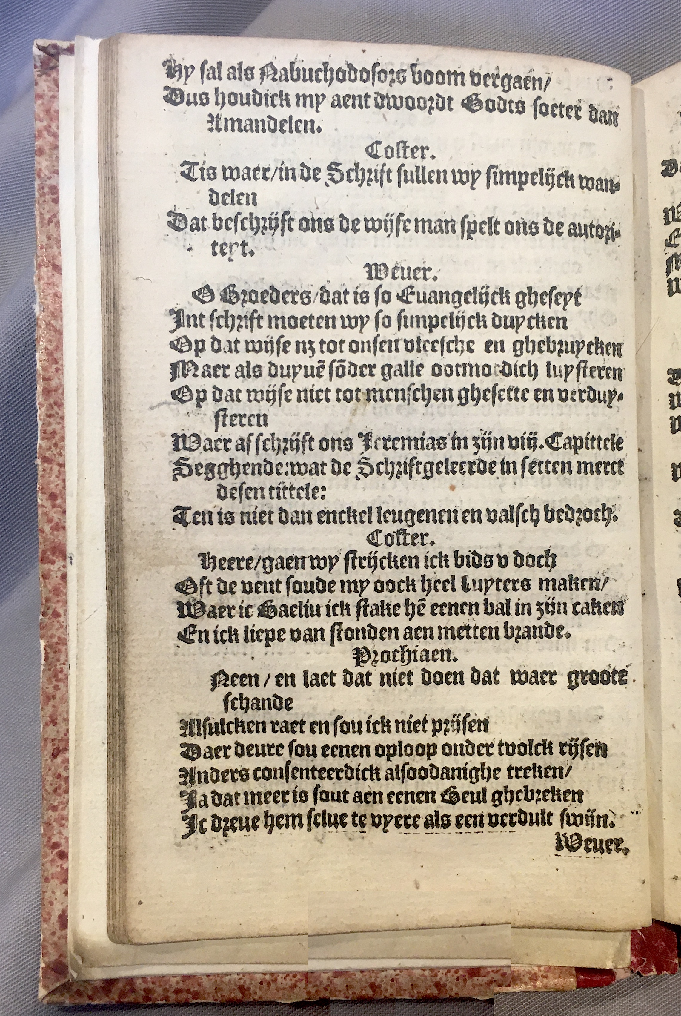 Prochiaen1578p020.jpg