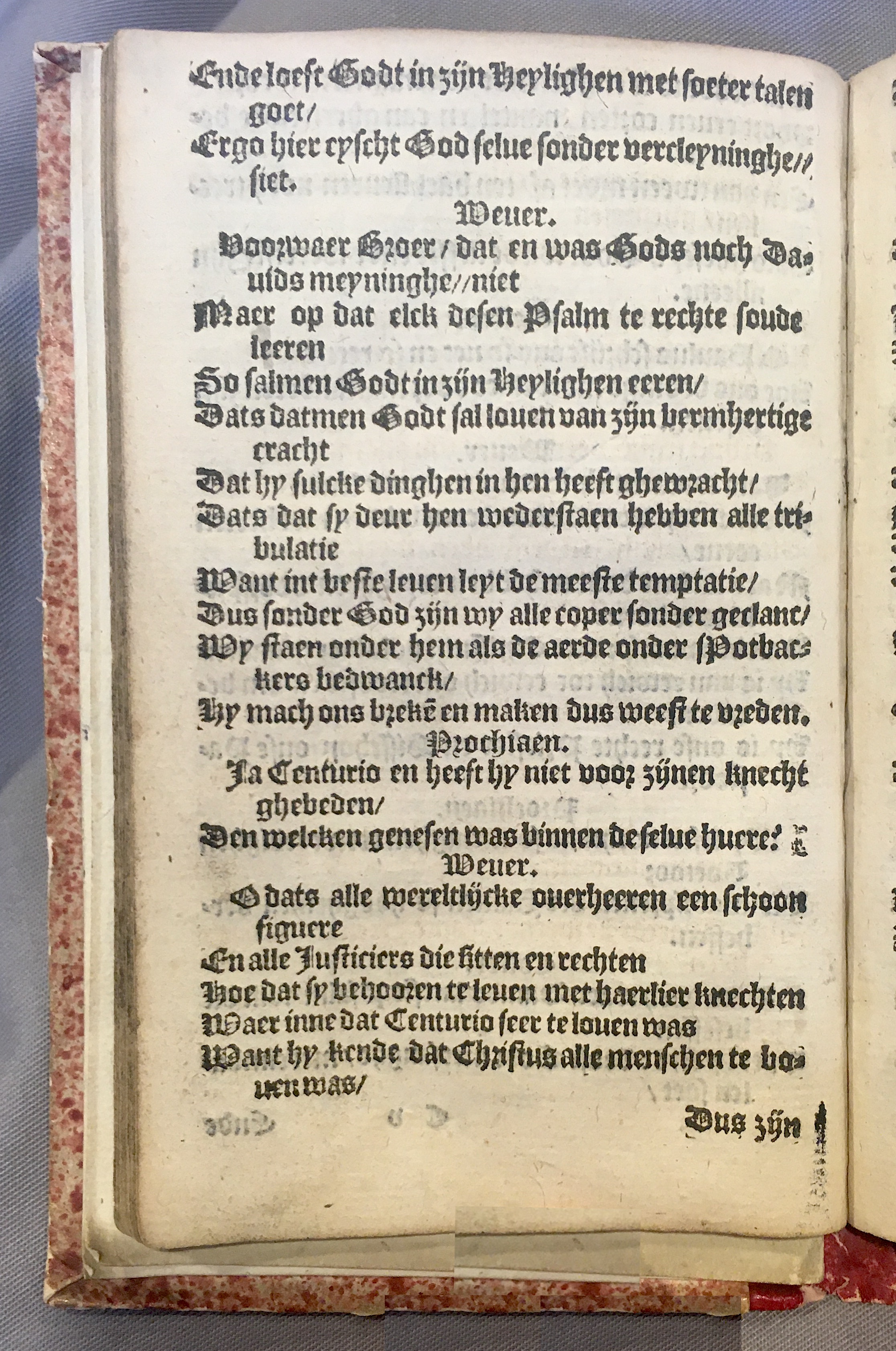 Prochiaen1578p042.jpg