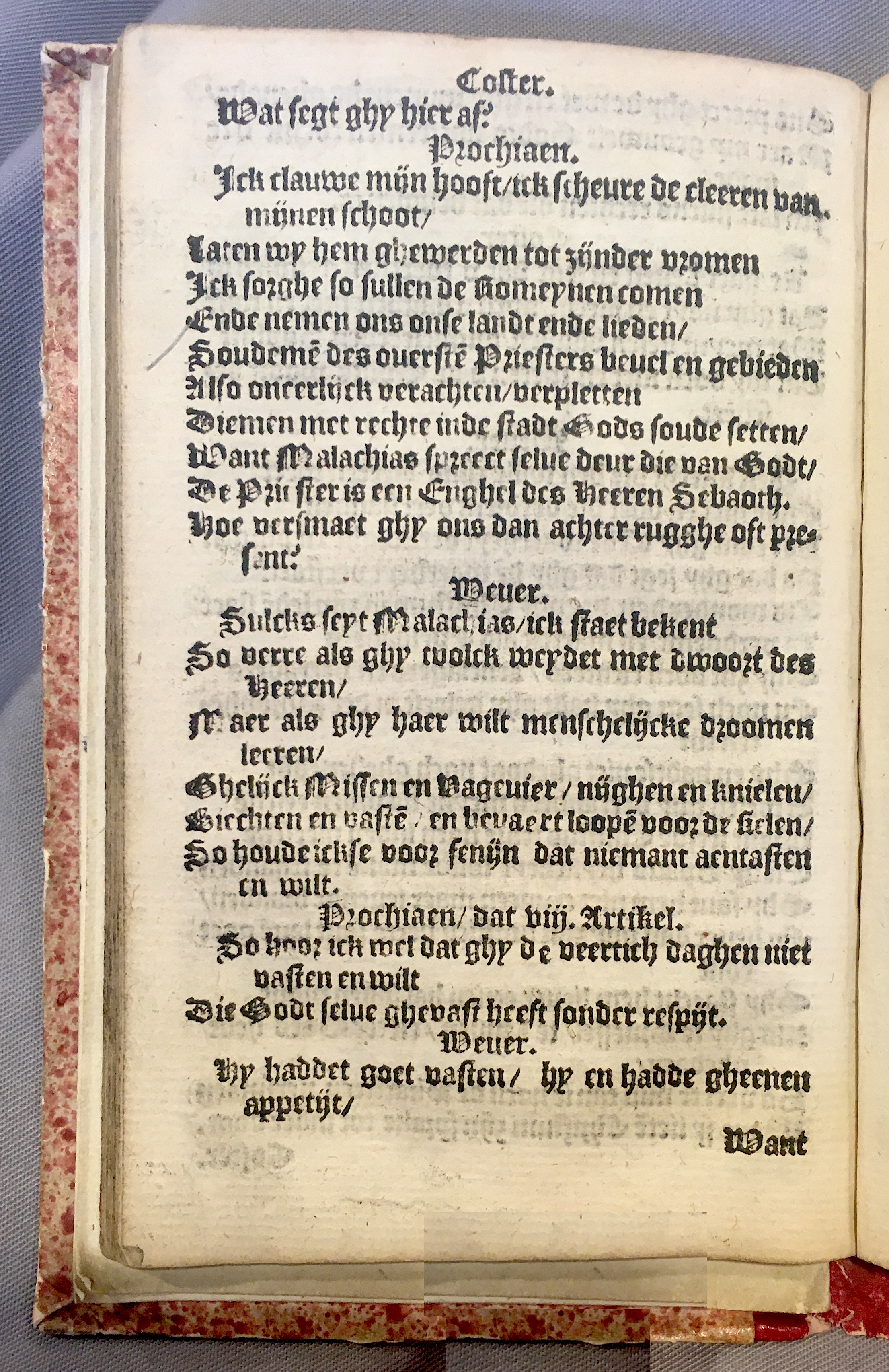 Prochiaen1578p060.jpg