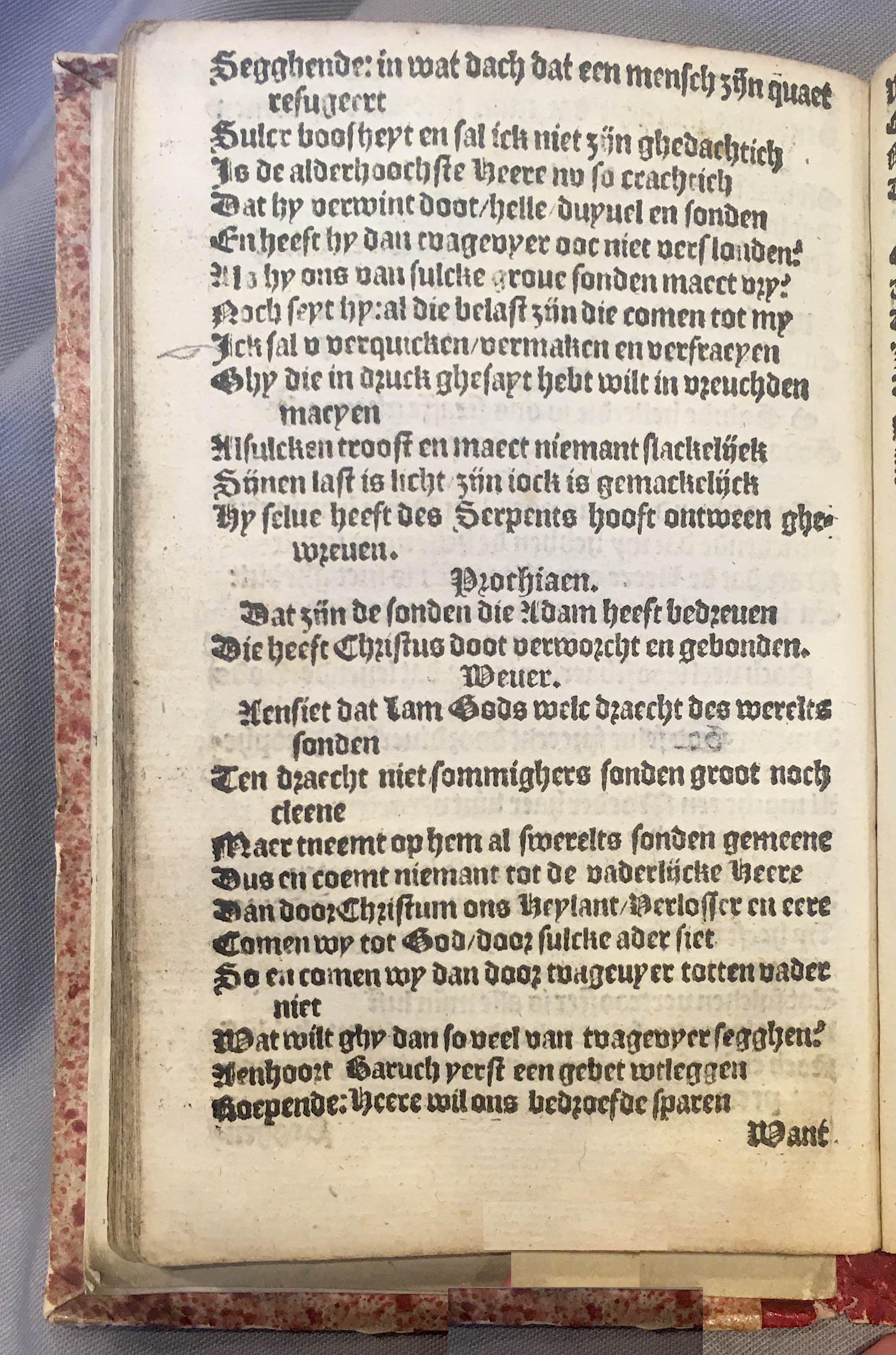 Prochiaen1578p112.jpg