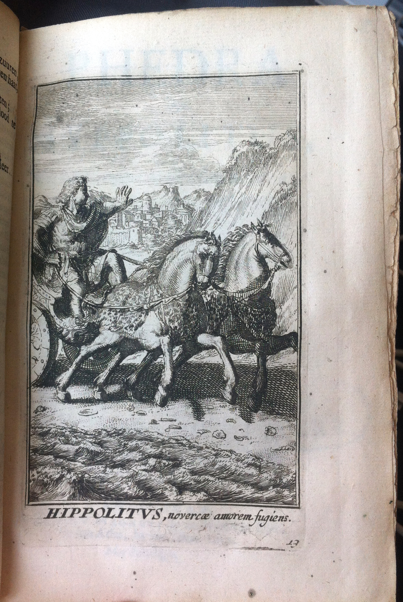 RijkFedra1683a01