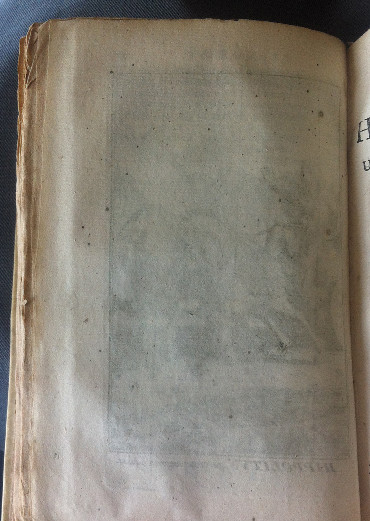 RijkFedra1683a02