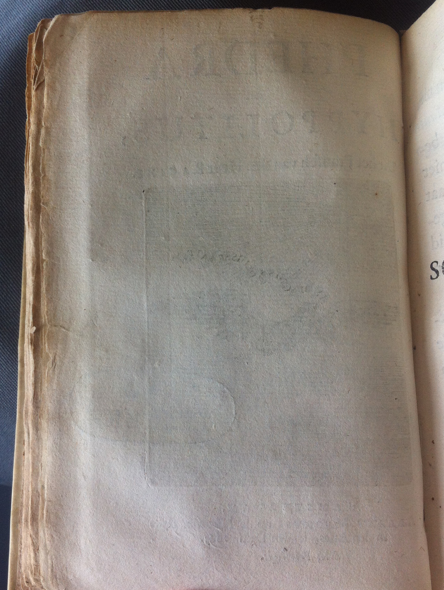 RijkFedra1683a04