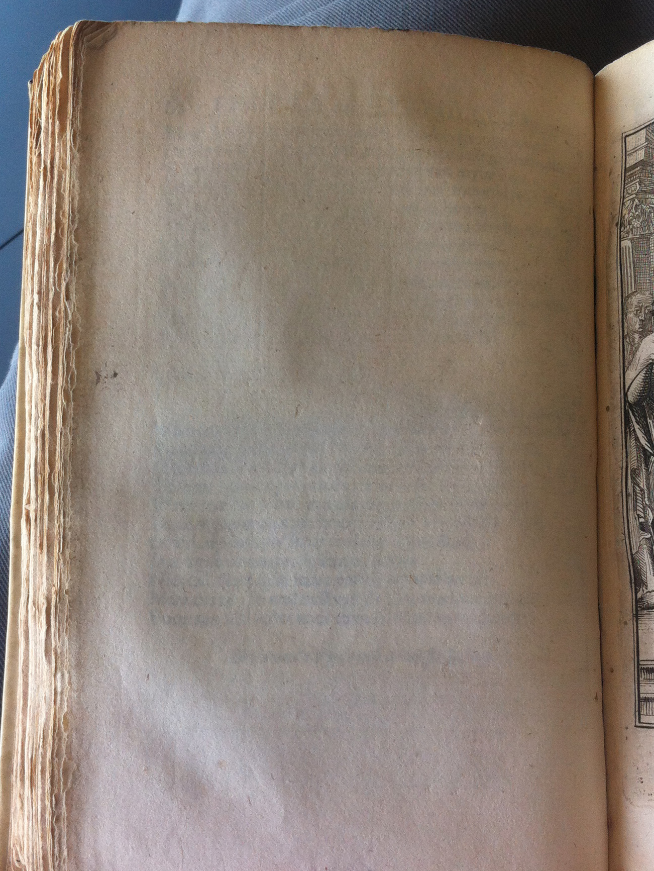 RijkFedra1683p64