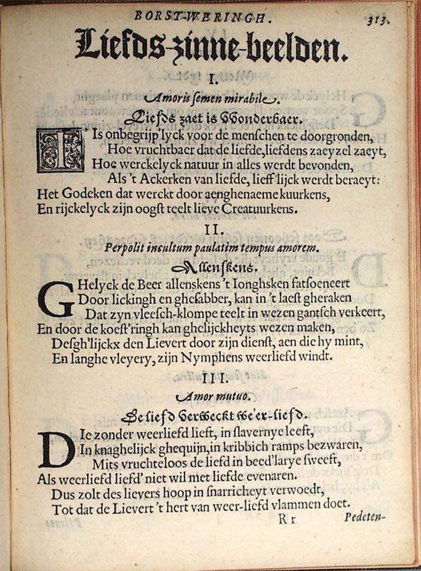 RodenburghEPB1619p313