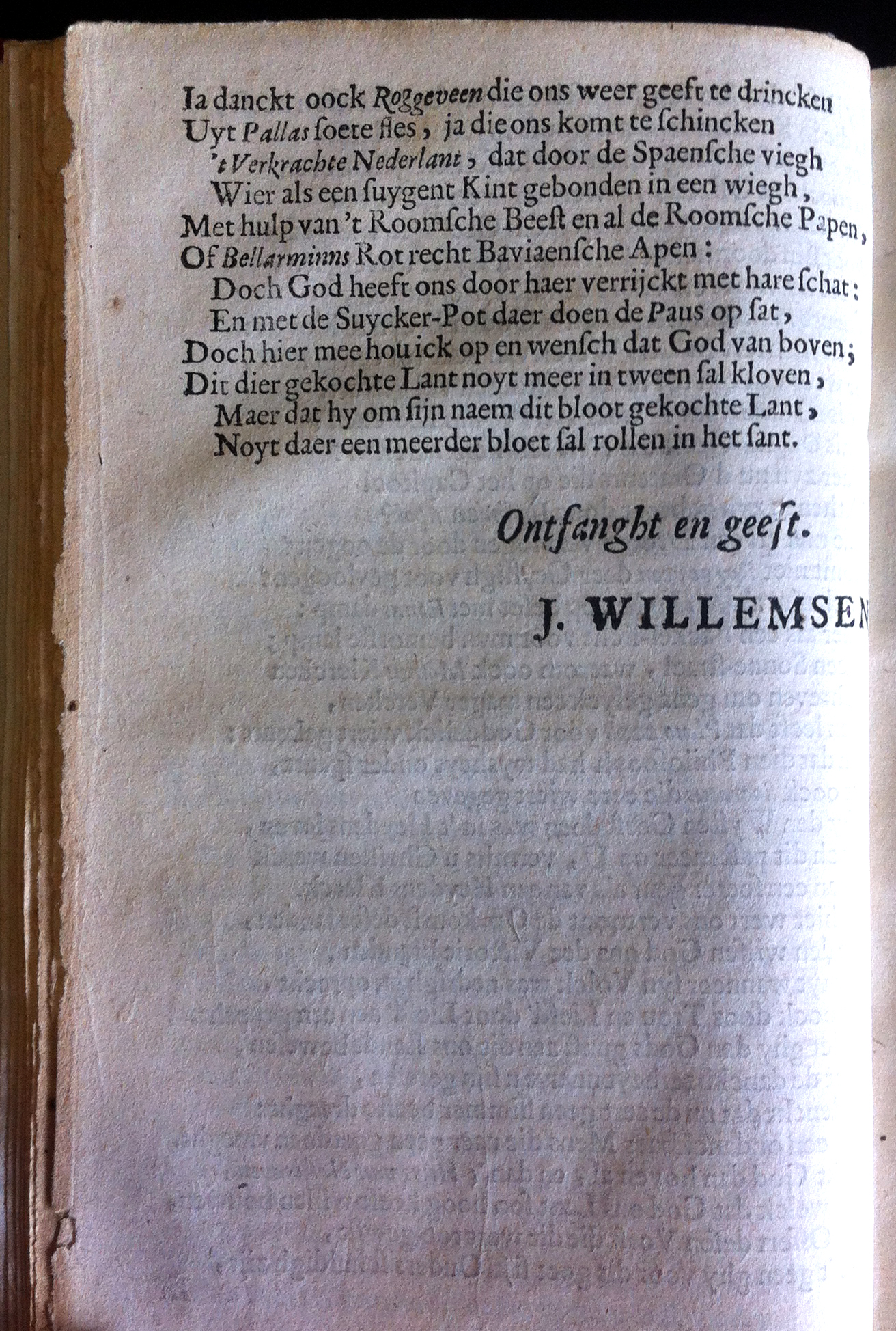 RoggeveenBelgica1669a16.jpg