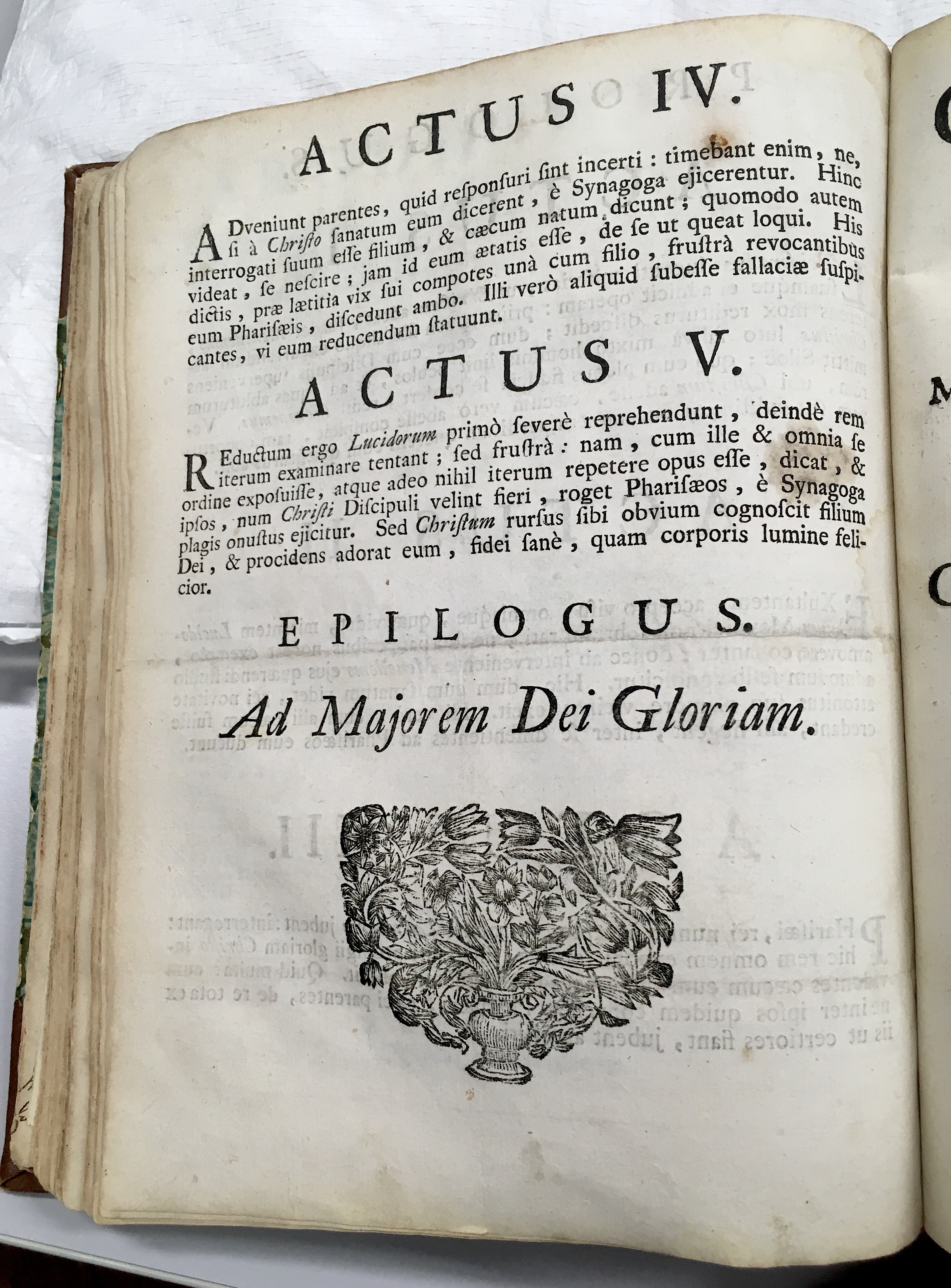 SJCaecusBrugge1724p04