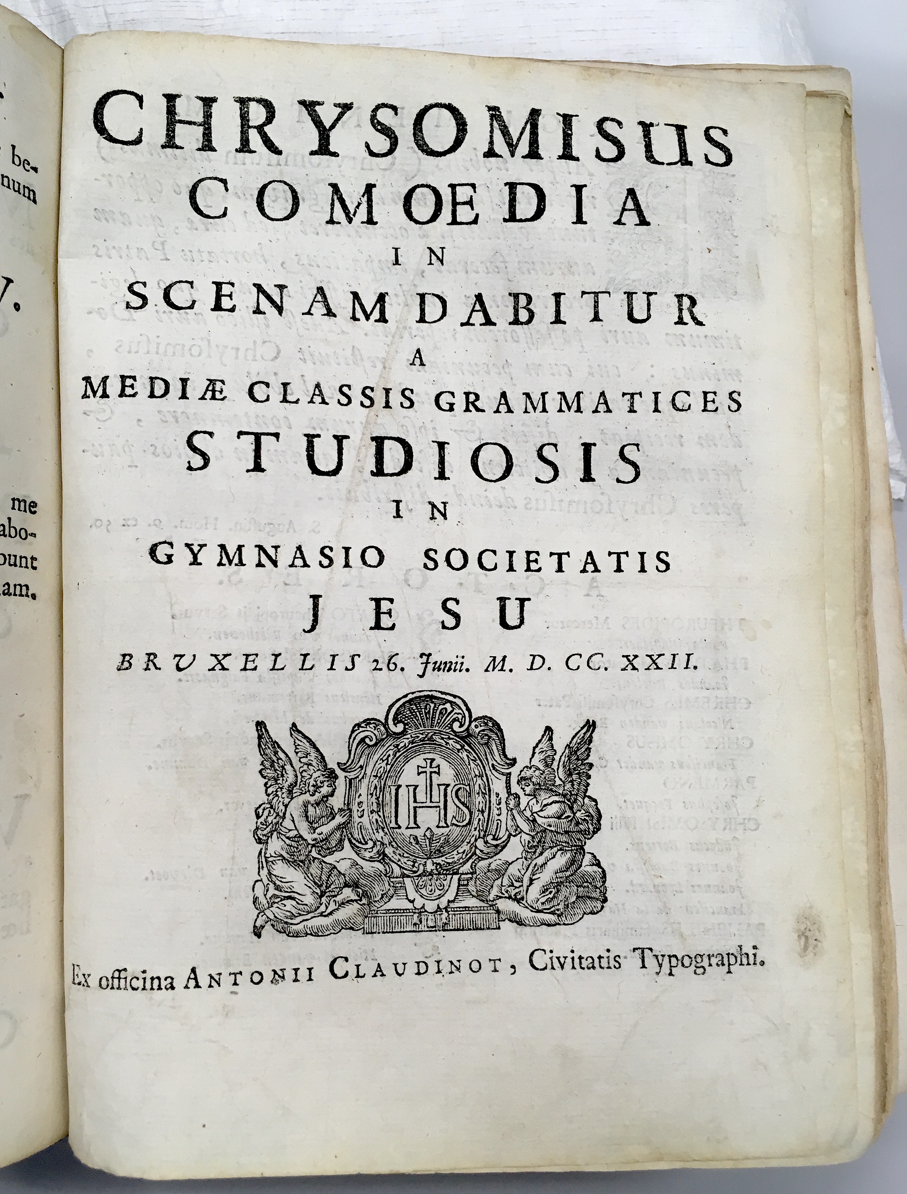 SJChrysomisusBrussel1722p01