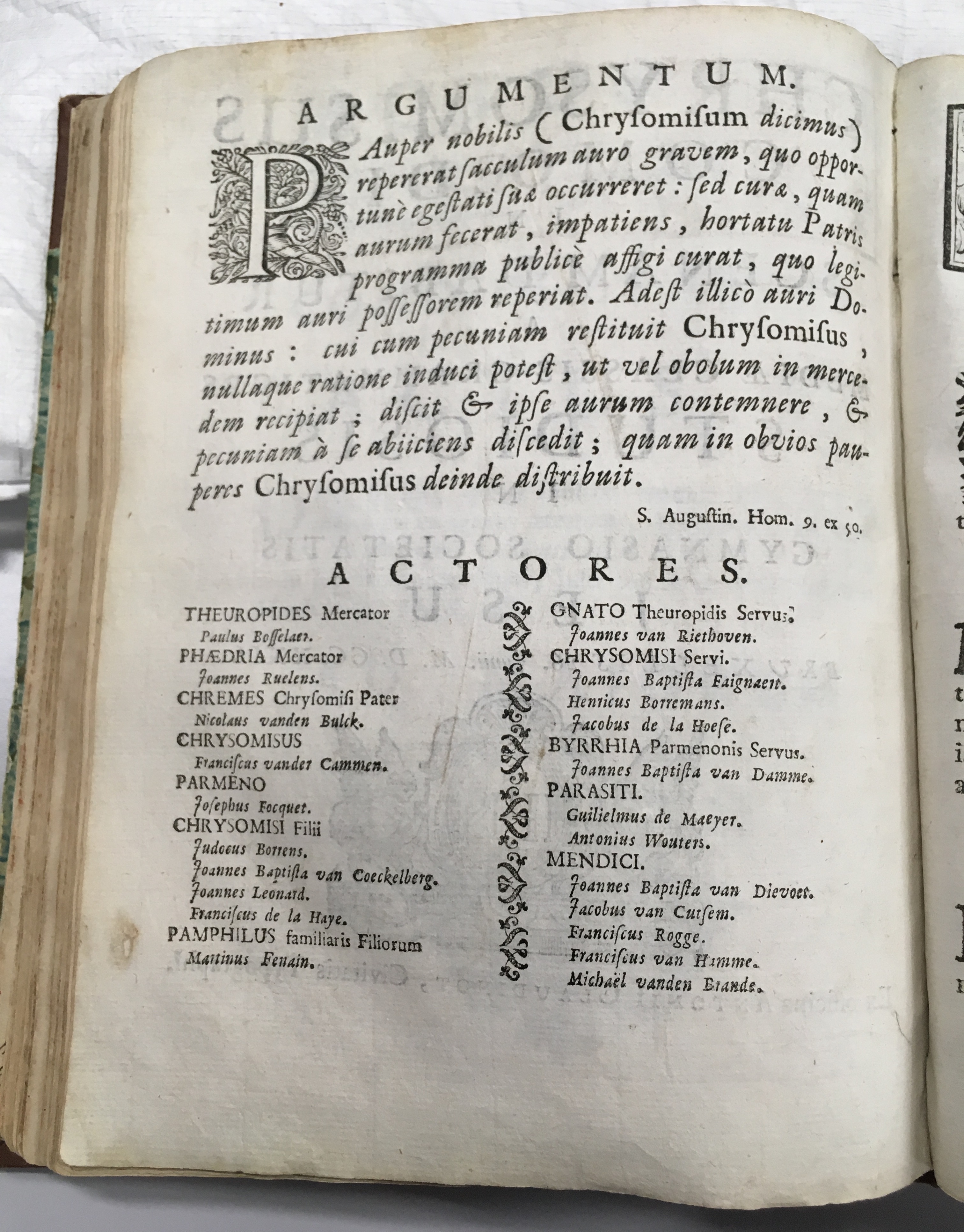 SJChrysomisusBrussel1722p02.jpg