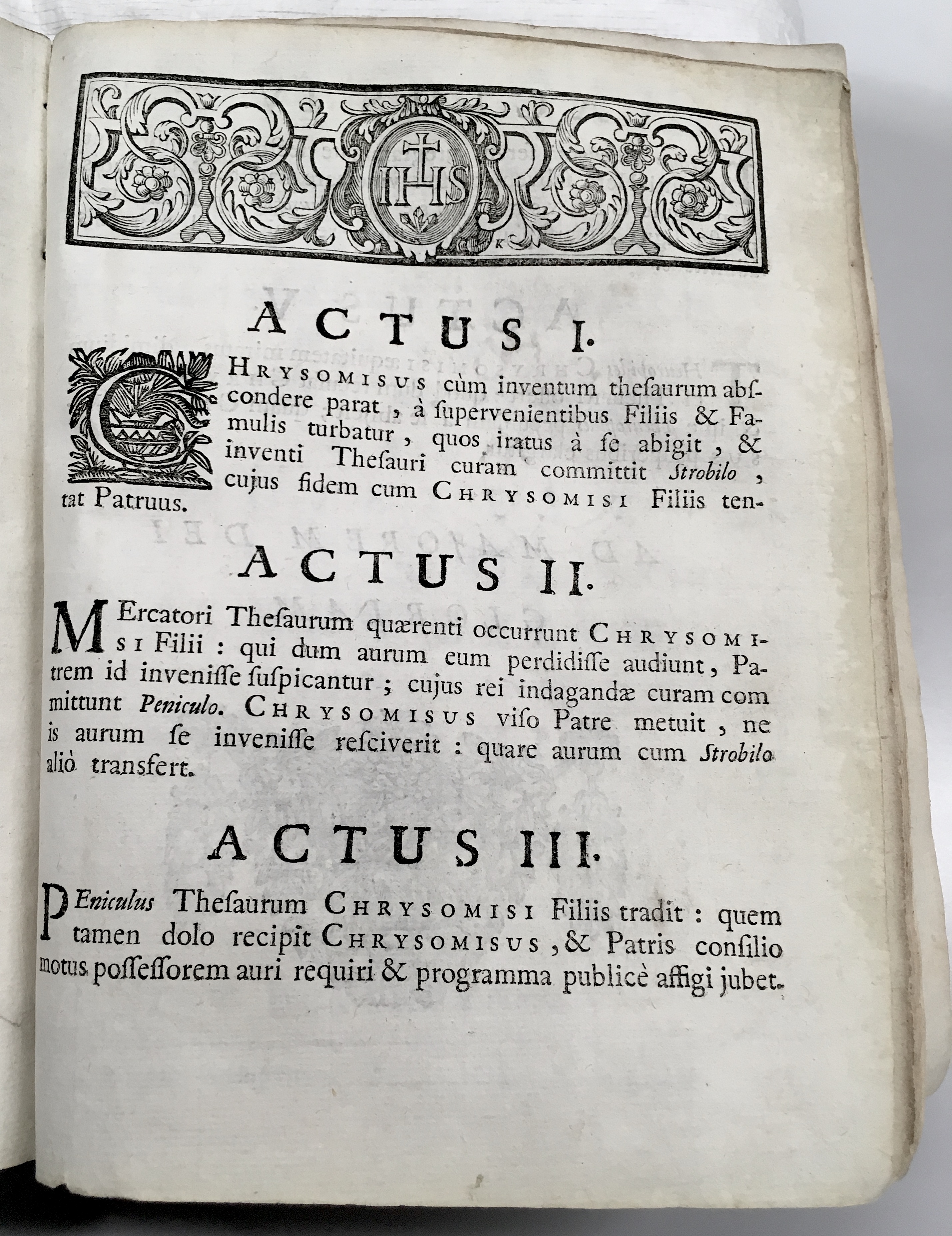 SJChrysomisusBrussel1722p03