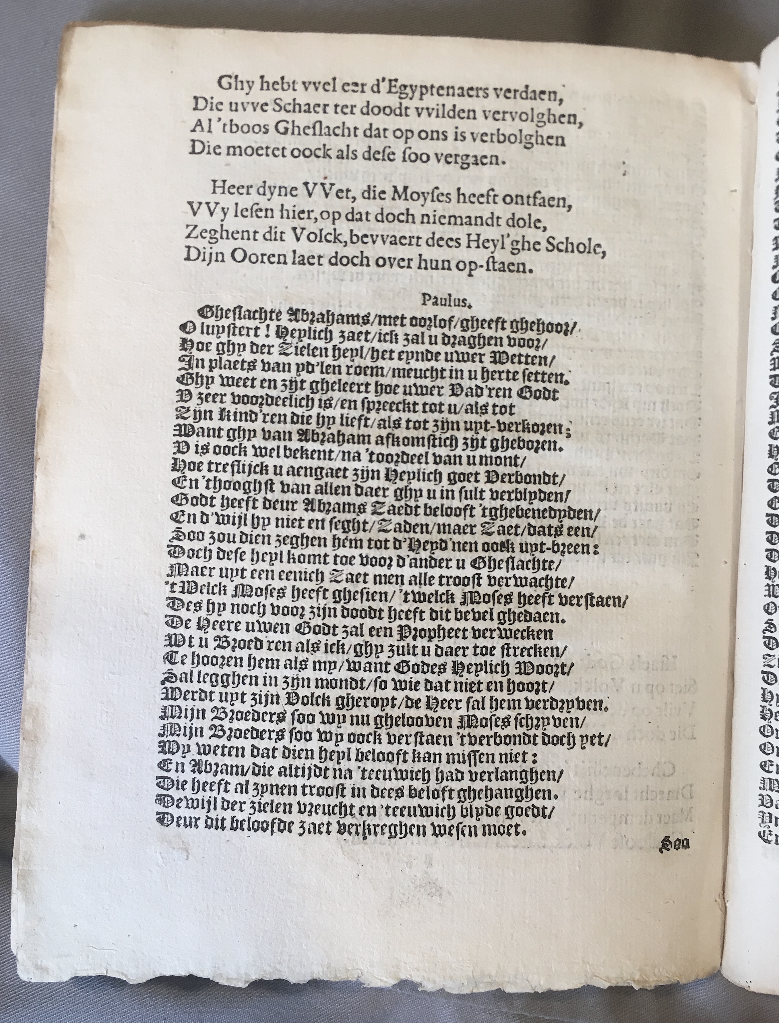 ScabaeljeAthenen1617p14.jpg