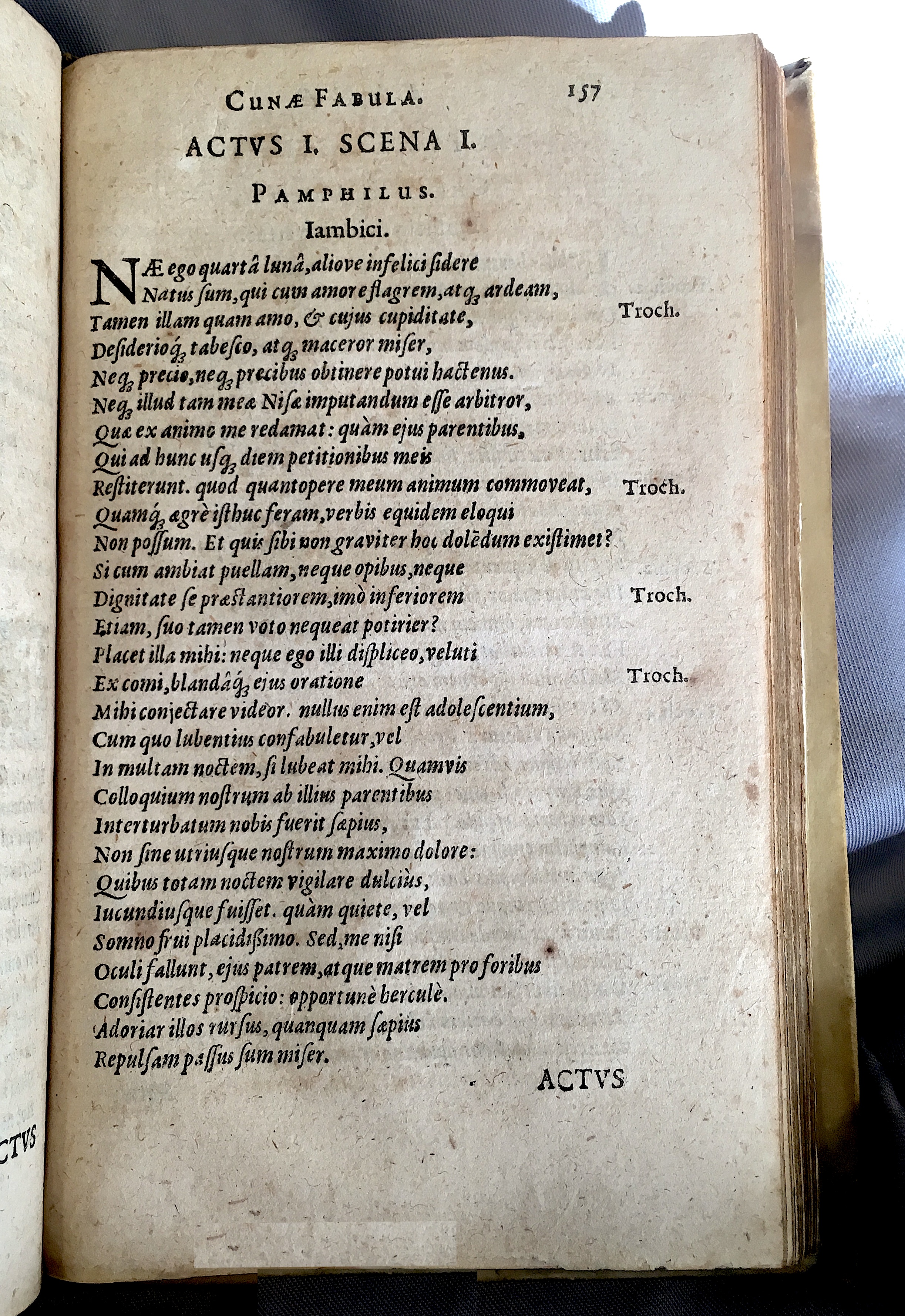 Schonaeus5Cunae1599p157.jpg