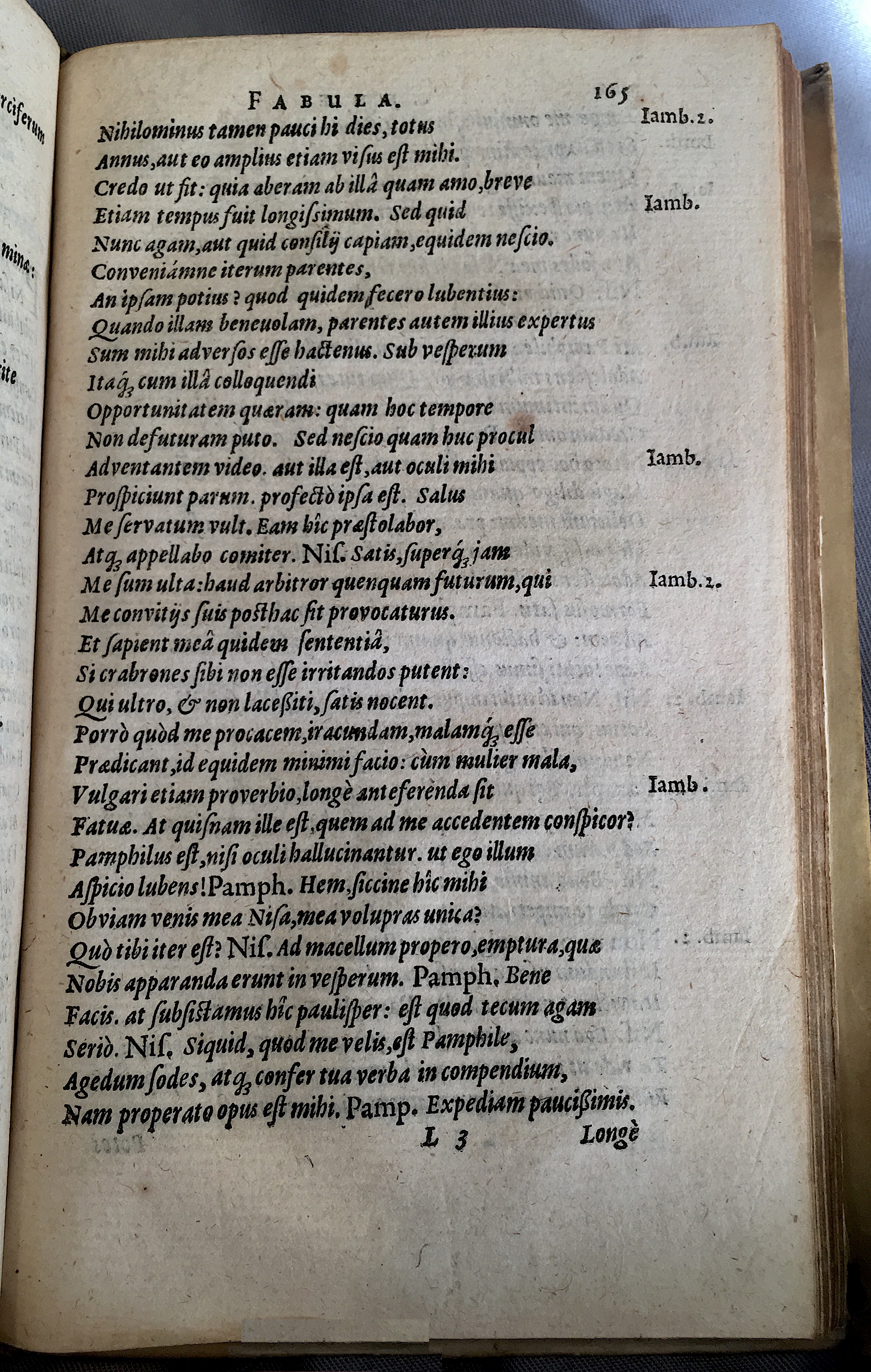 Schonaeus5Cunae1599p165.jpg