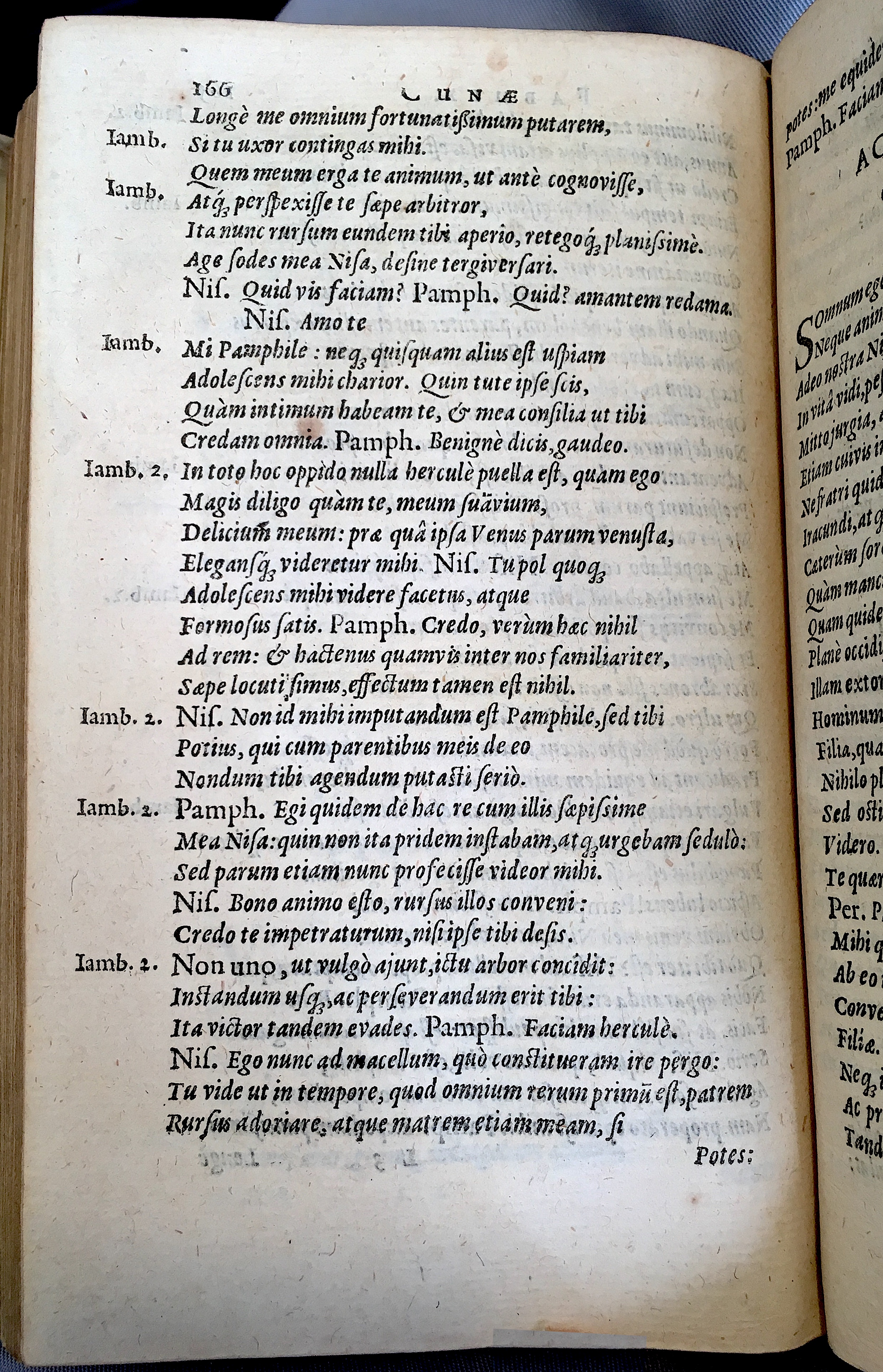 Schonaeus5Cunae1599p166.jpg