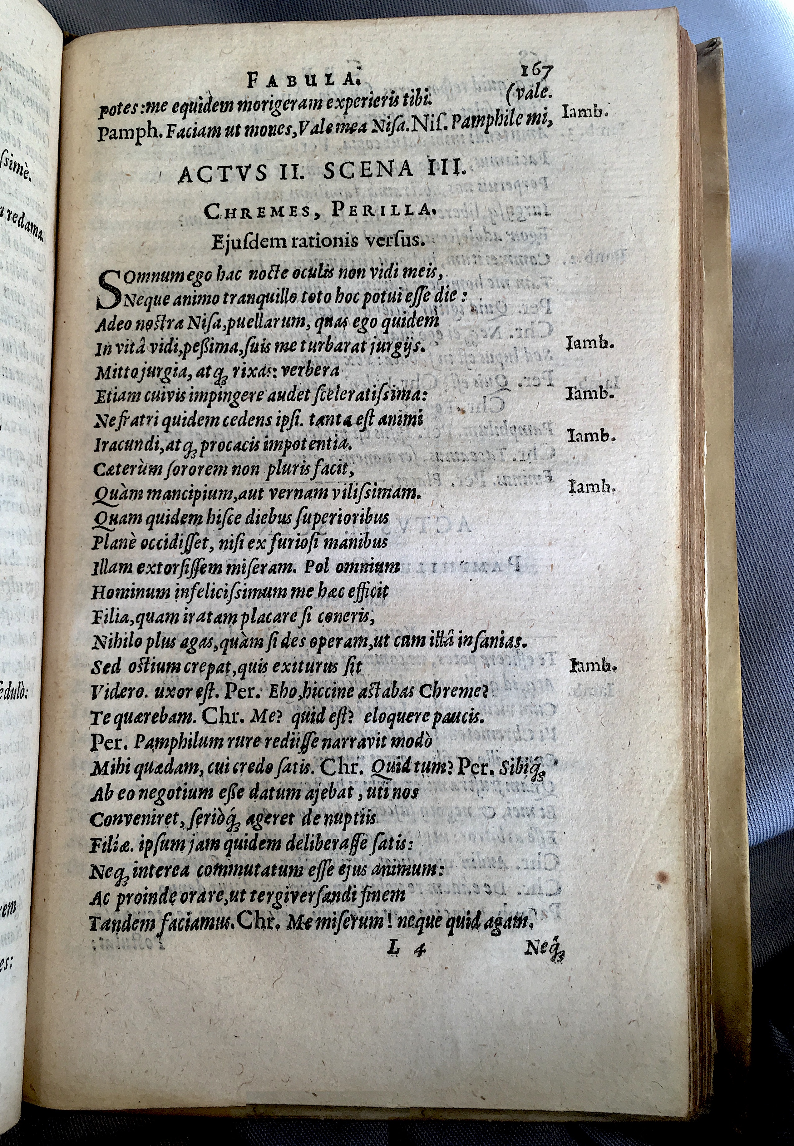 Schonaeus5Cunae1599p167.jpg